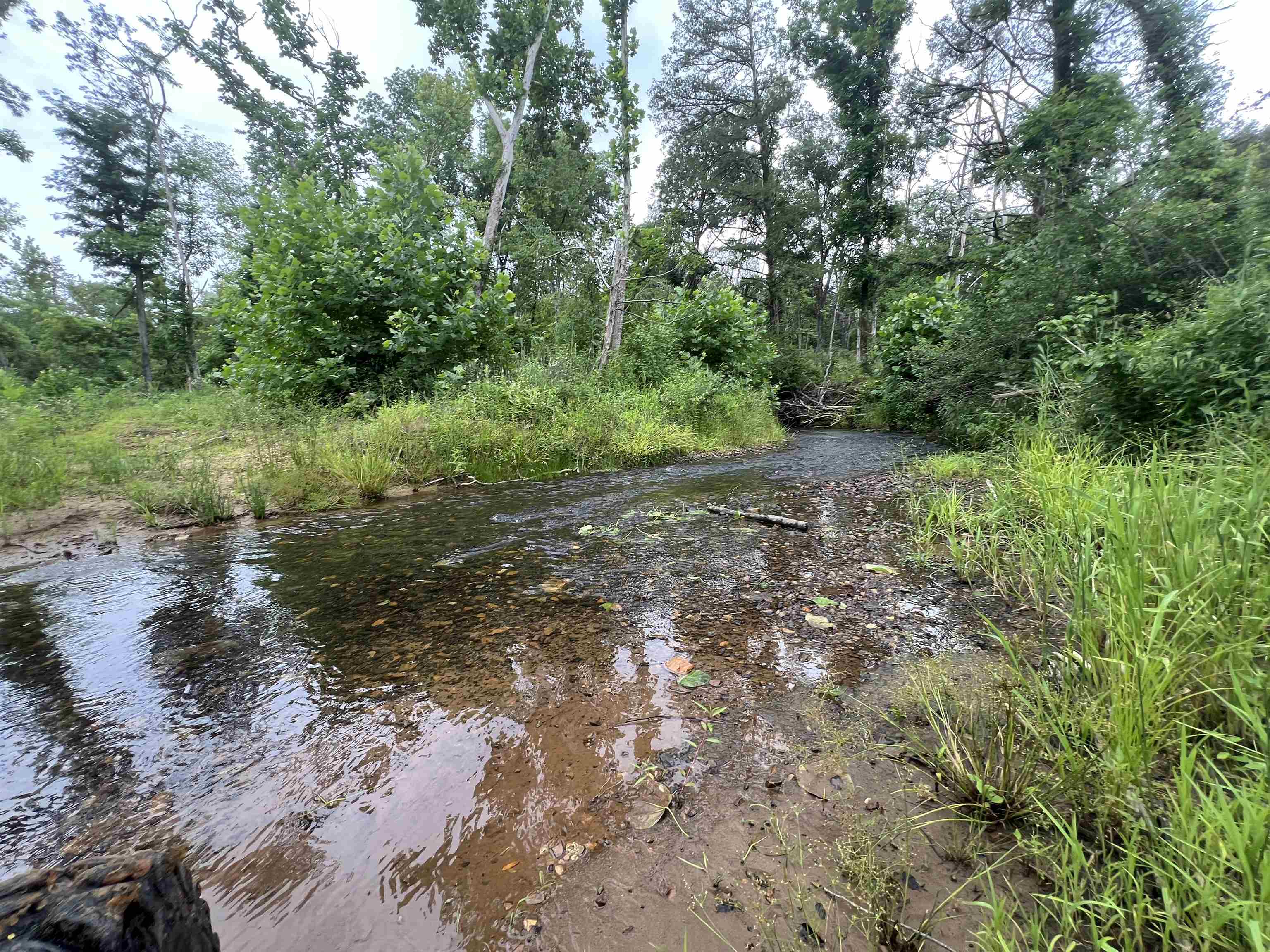 1350  HWY 115  Smithville, AR