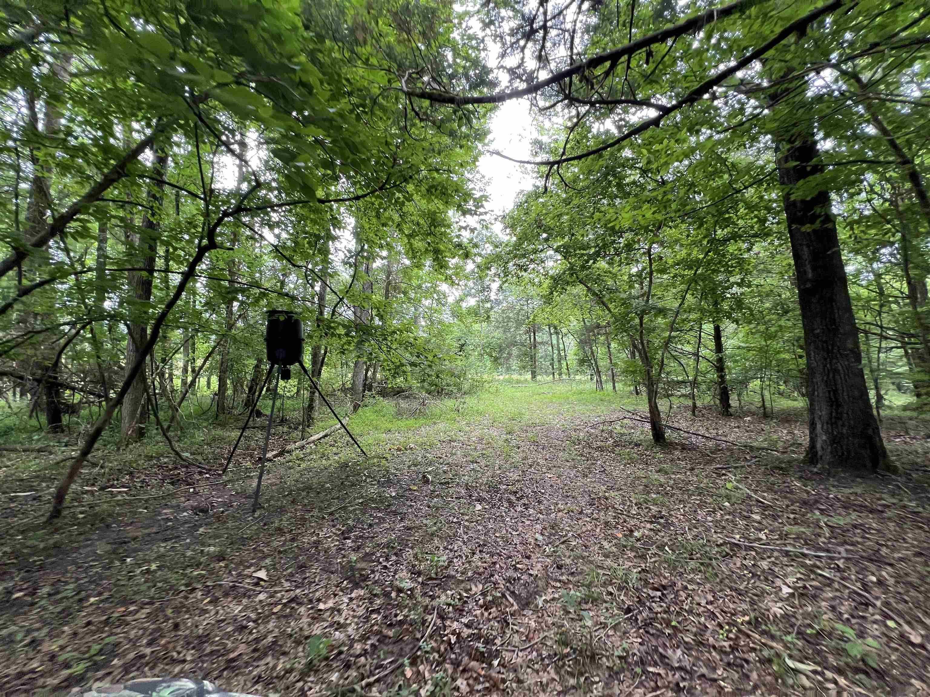 1350  HWY 115  Smithville, AR