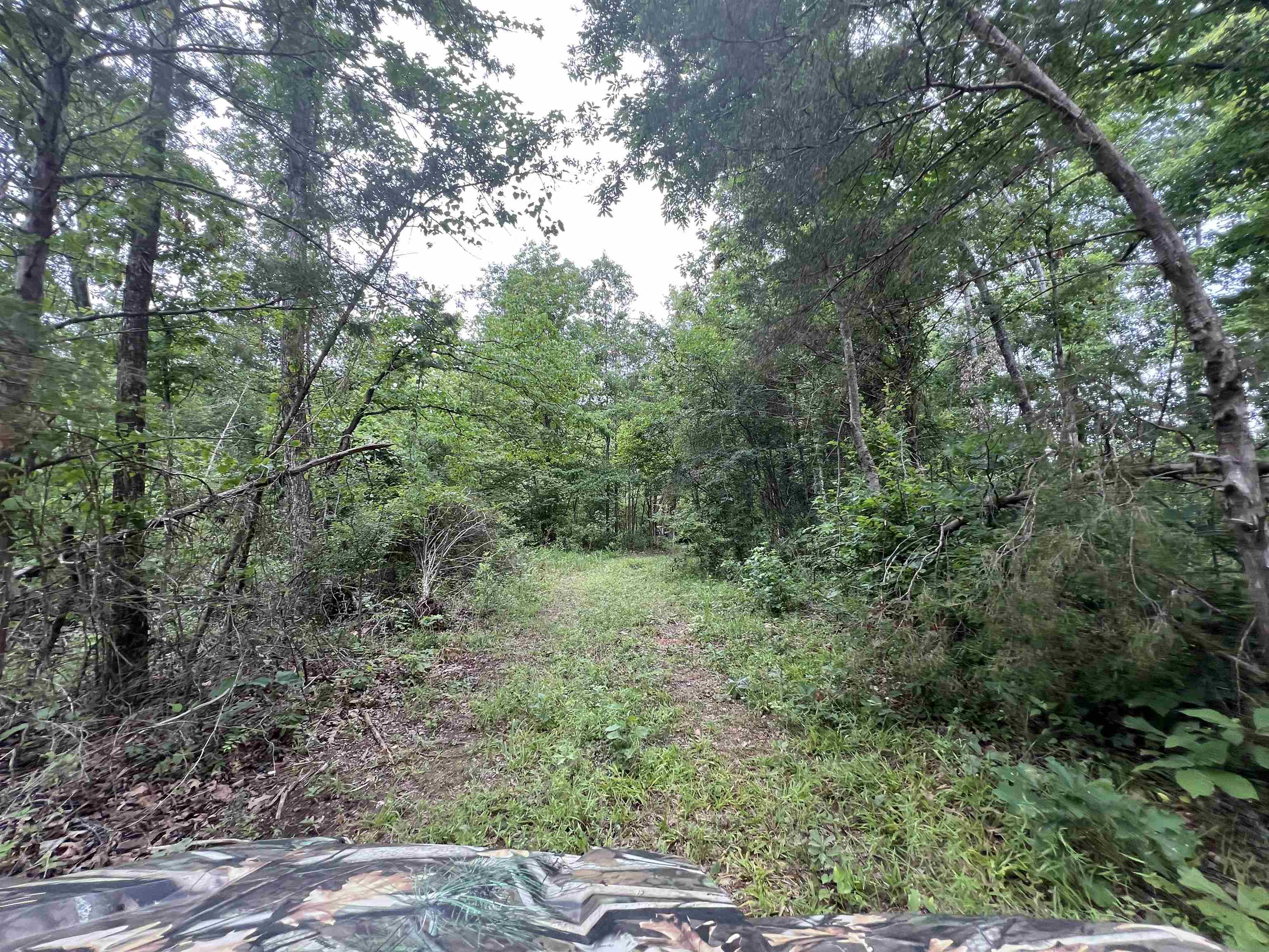 1350  HWY 115  Smithville, AR