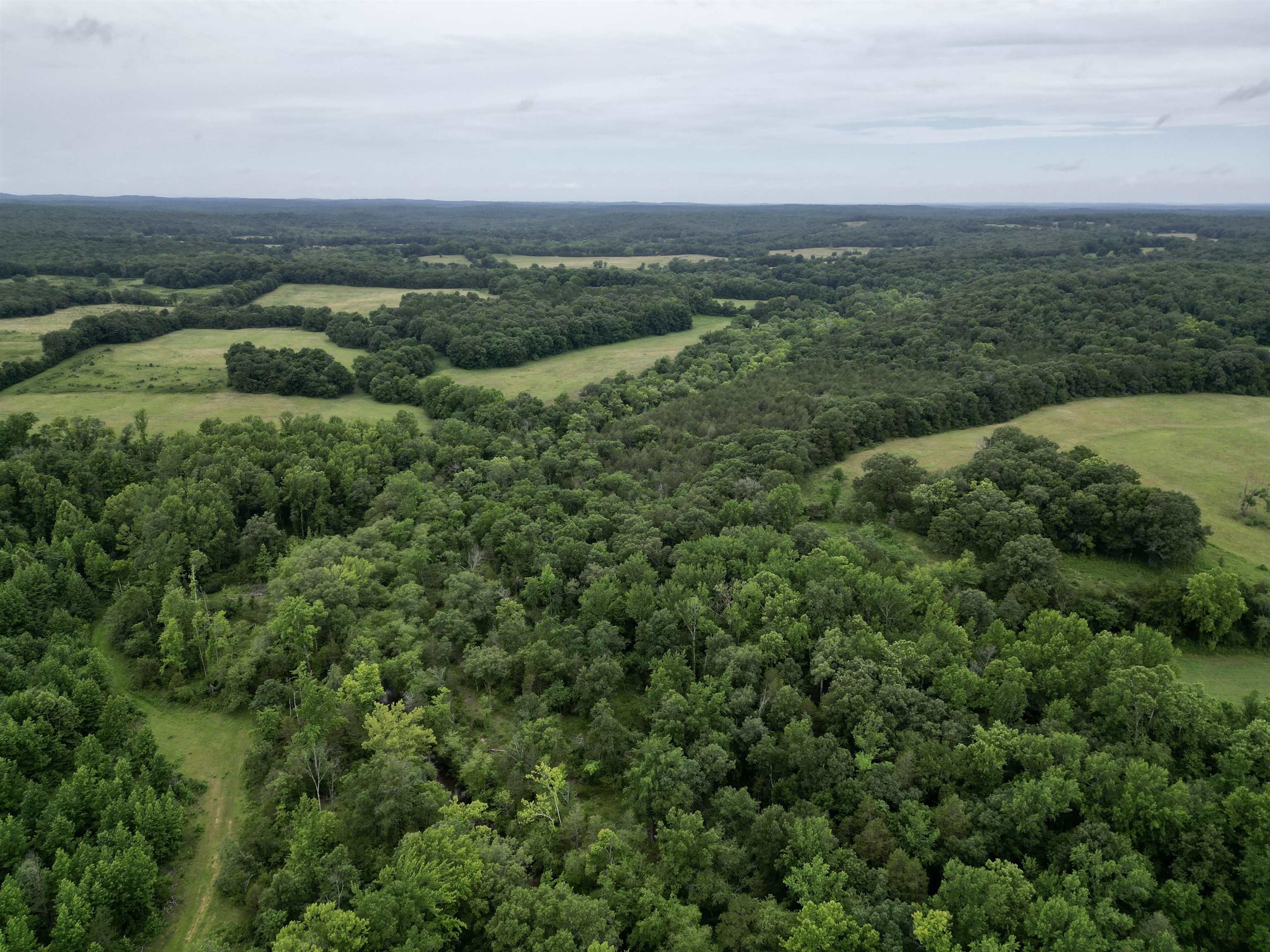 1350  HWY 115  Smithville, AR