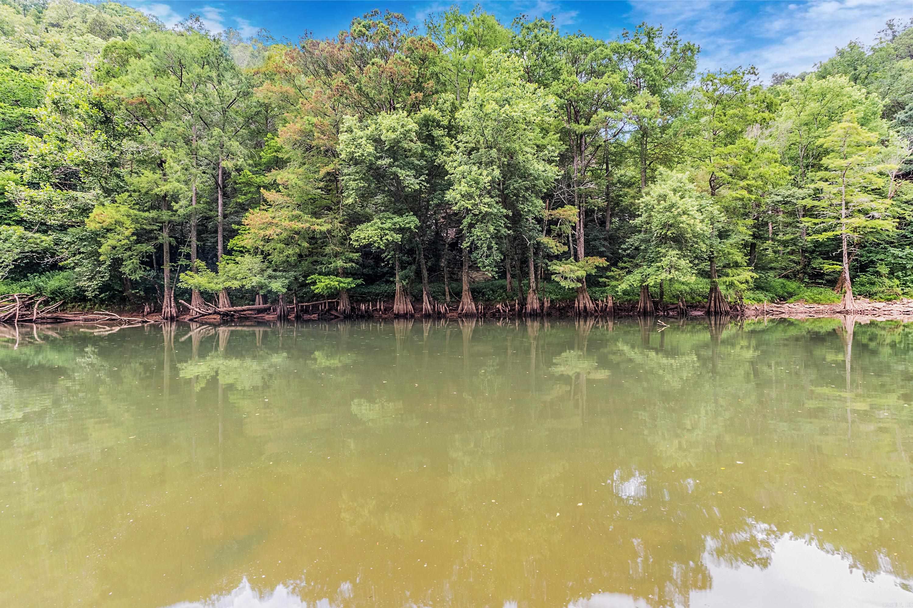 113 N Riverfront  Judsonia, AR