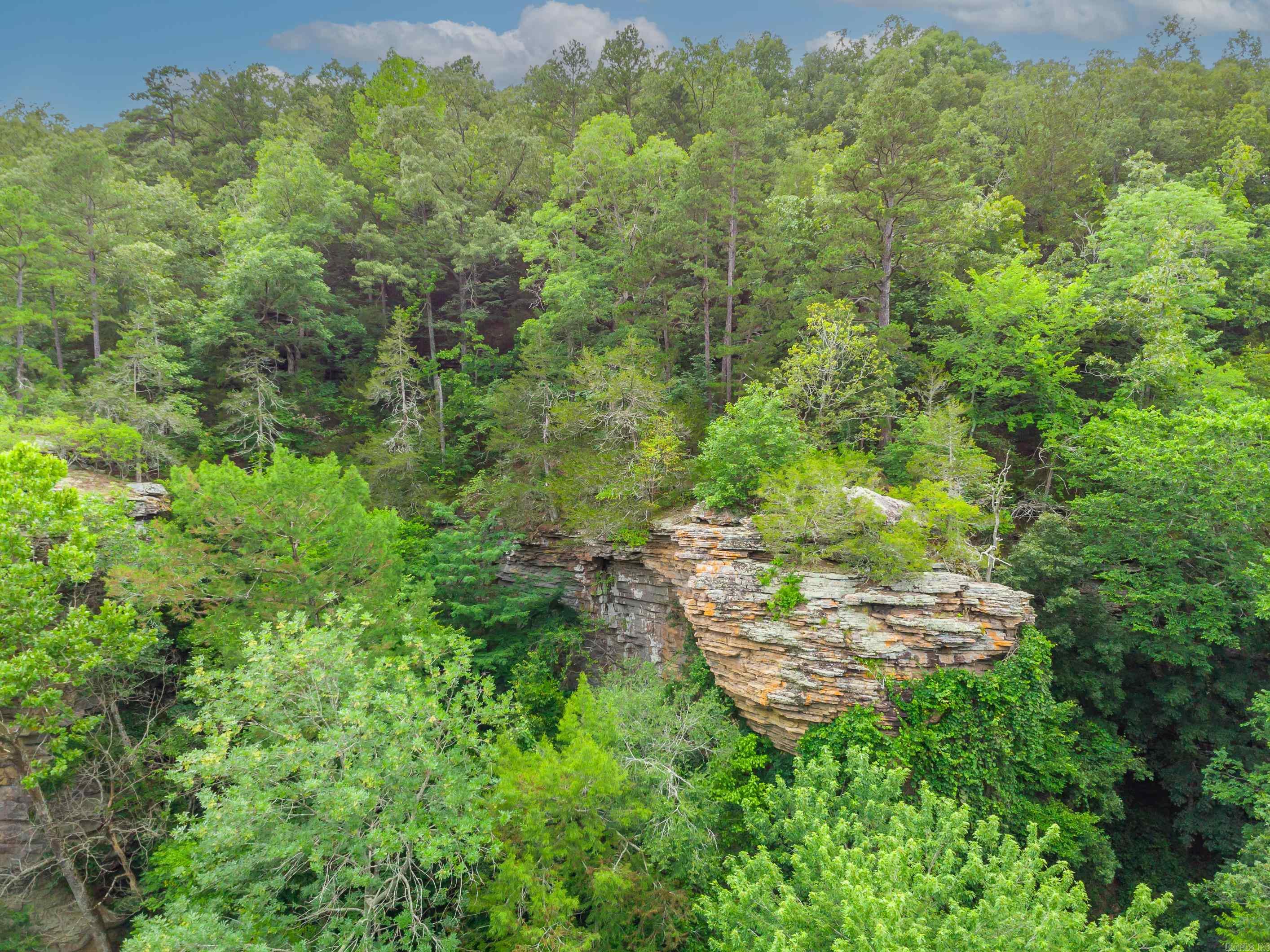 113 N Riverfront  Judsonia, AR