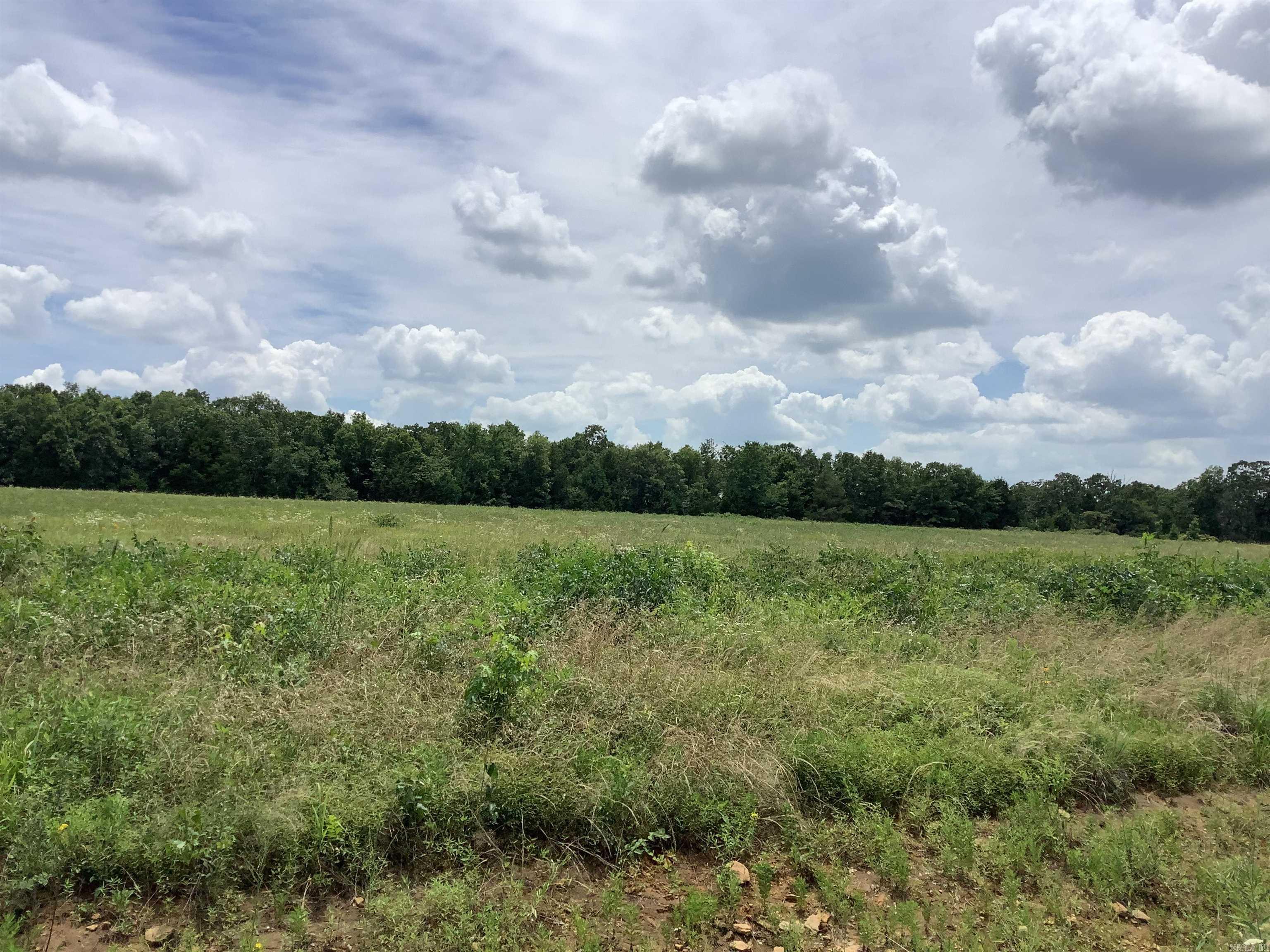 003  Wallis  Bald Knob, AR