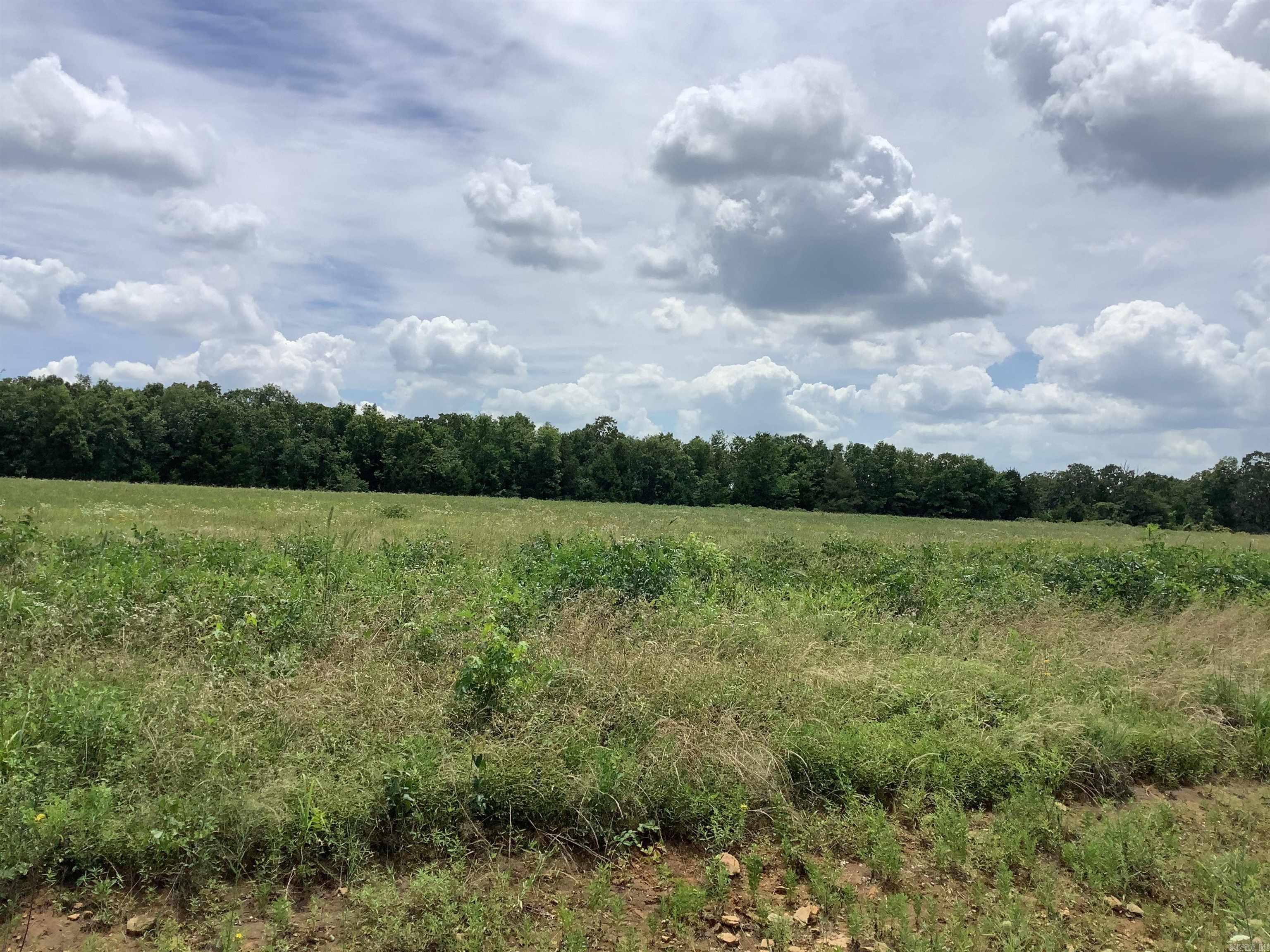 002  Wallis  Bald Knob, AR