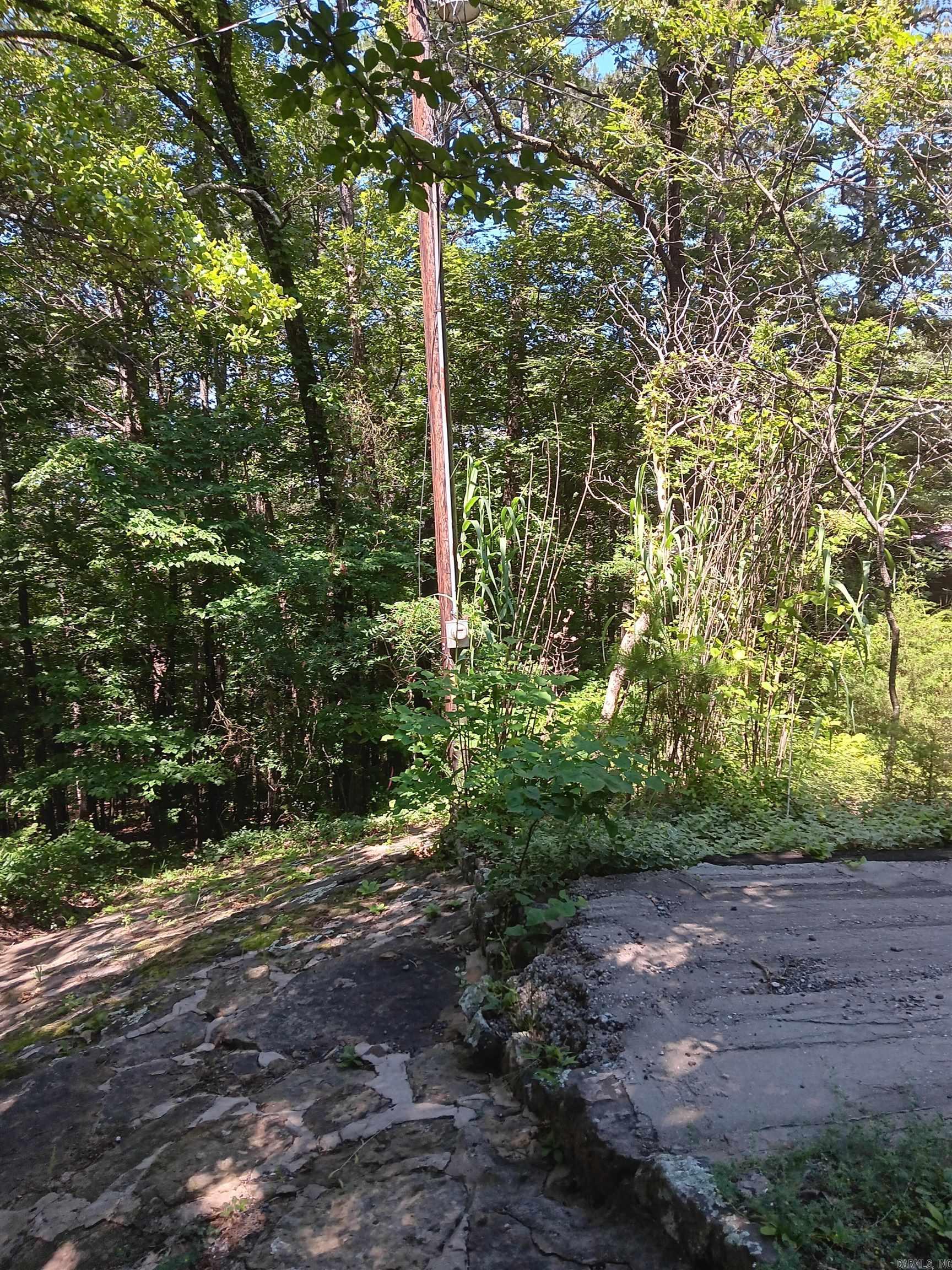 Lot 173  Quiet Bend  Fairfield Bay, AR