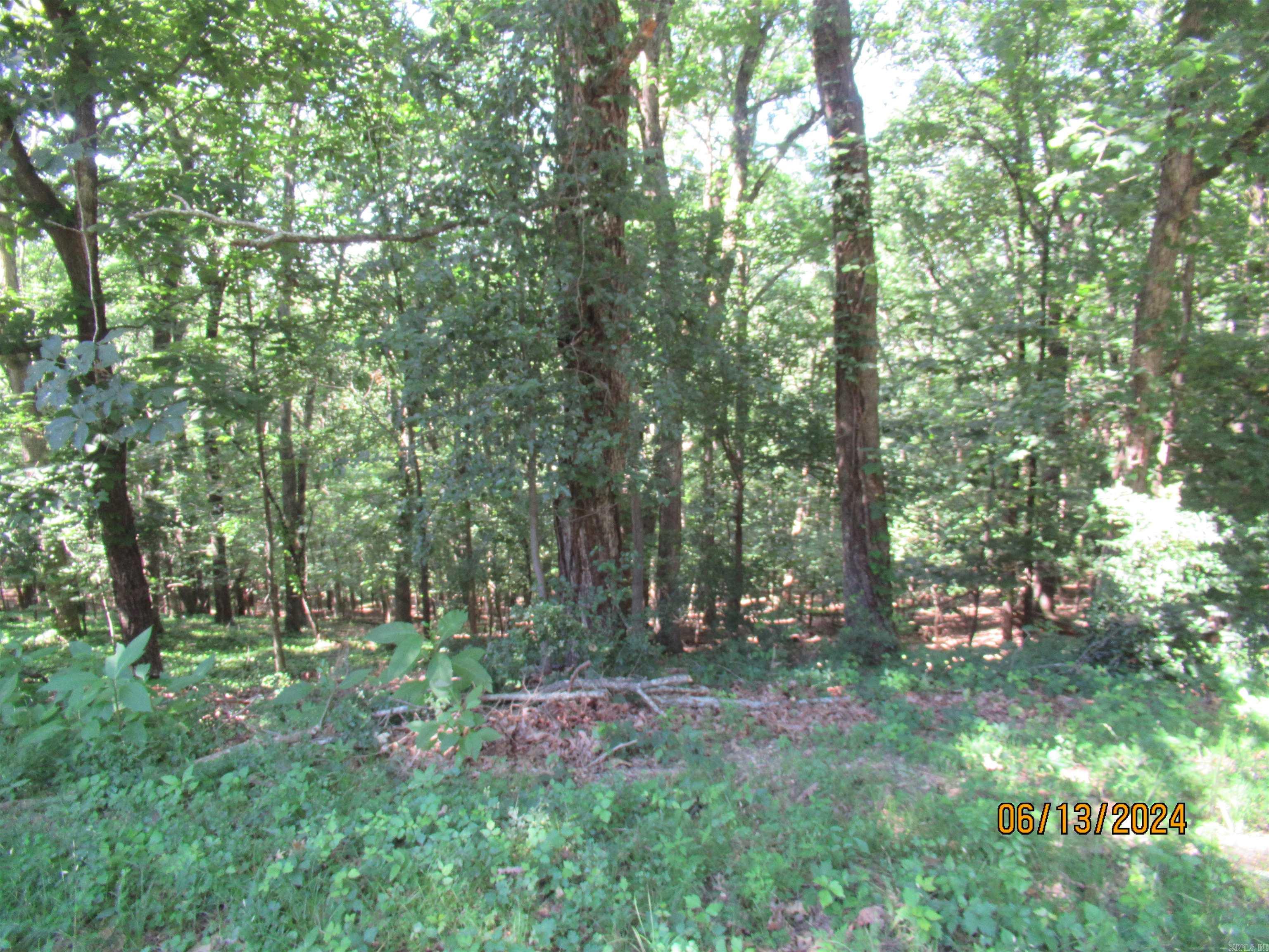 1508  Hillsborough Ln  Little Rock, AR