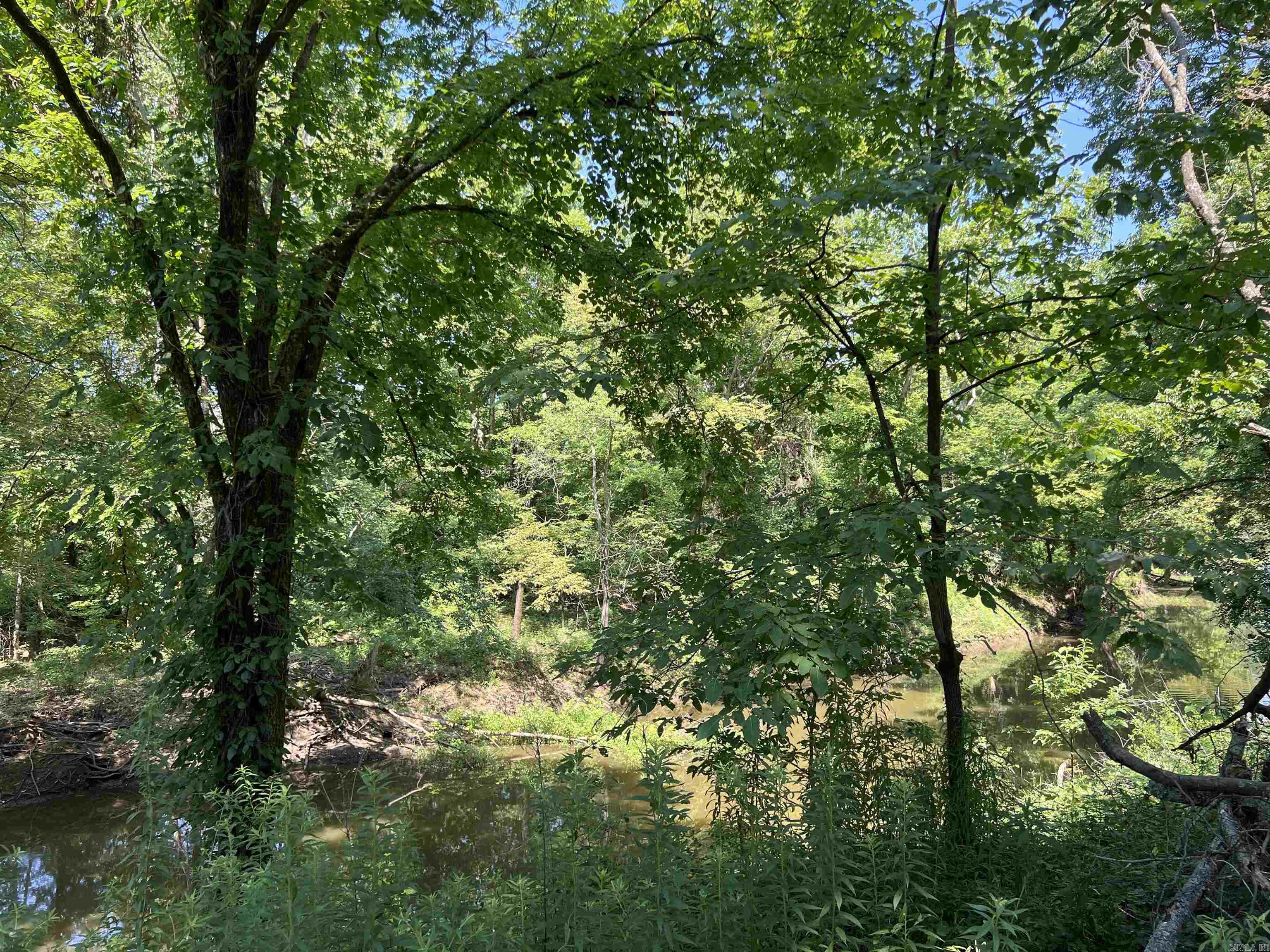 9200  Trulock Bay  Sherrill, AR