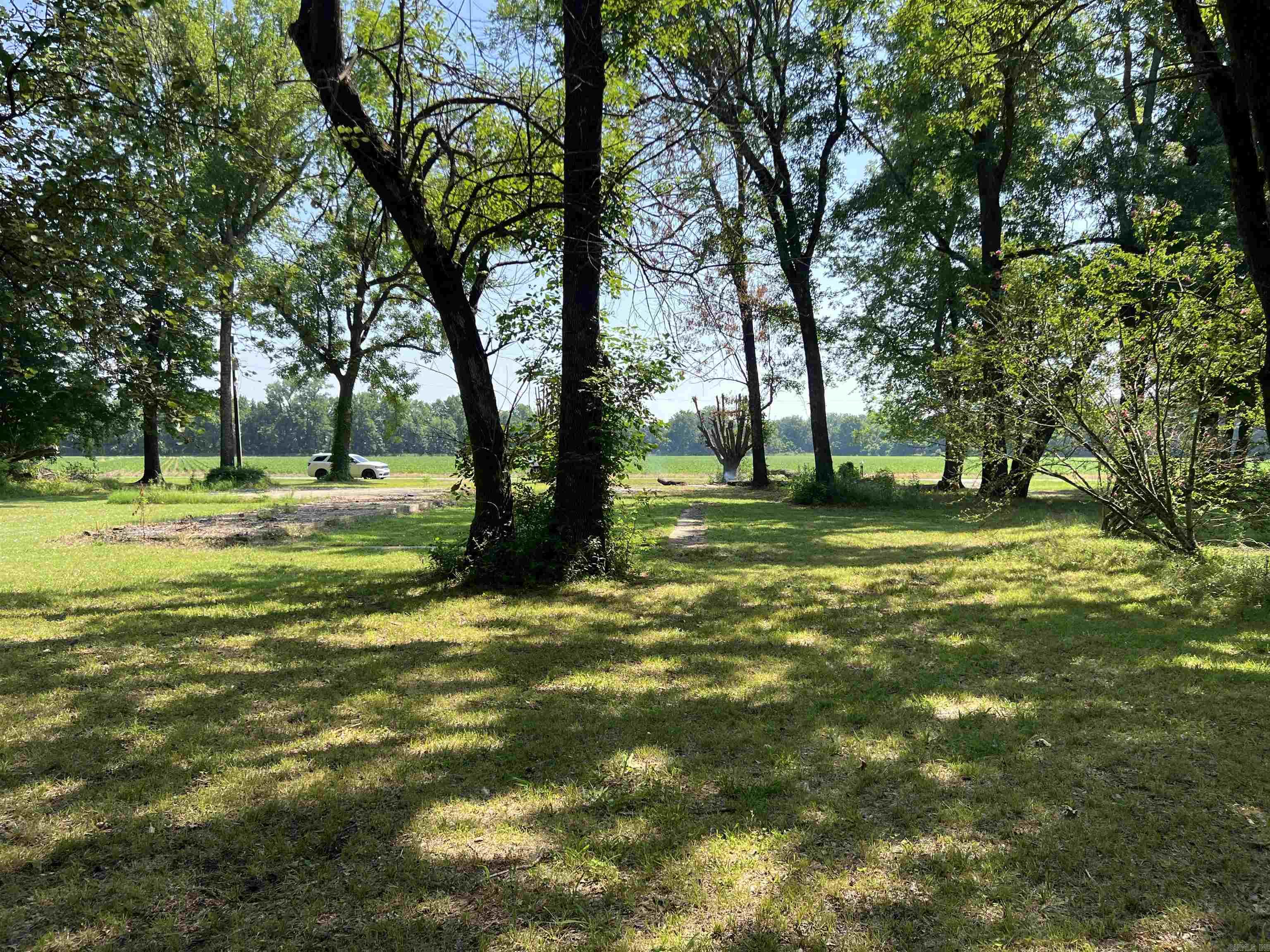 9200  Trulock Bay  Sherrill, AR