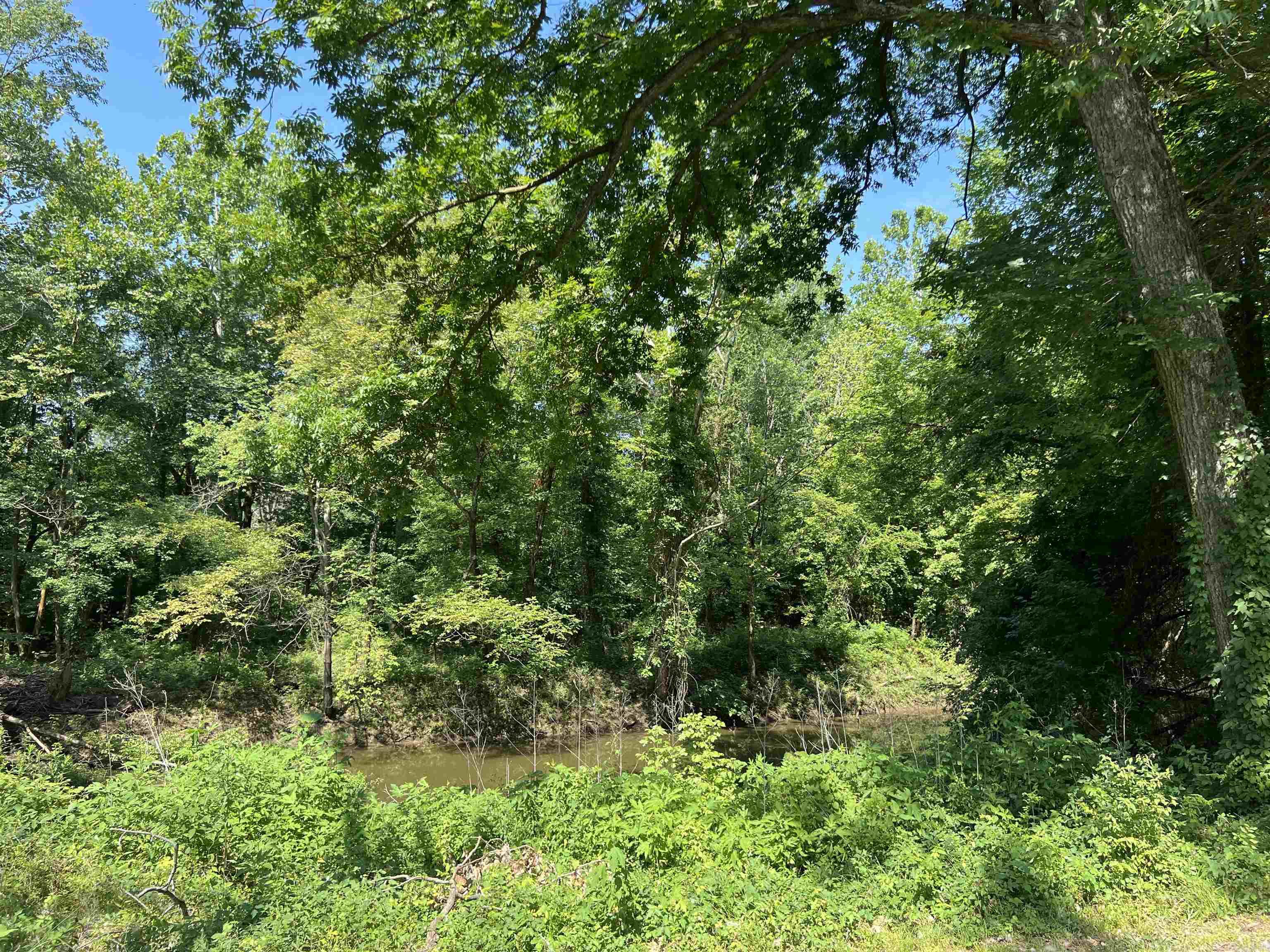 9200  Trulock Bay  Sherrill, AR