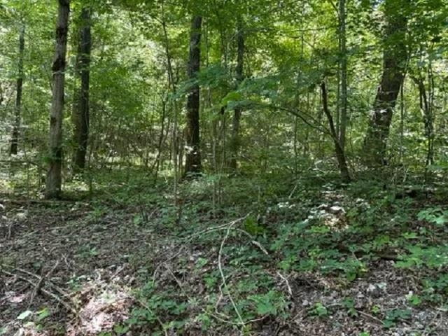 001-03393-017  Hwy 14 S  Harriet, AR
