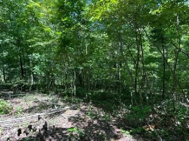 001-03393-017  Hwy 14 S  Harriet, AR
