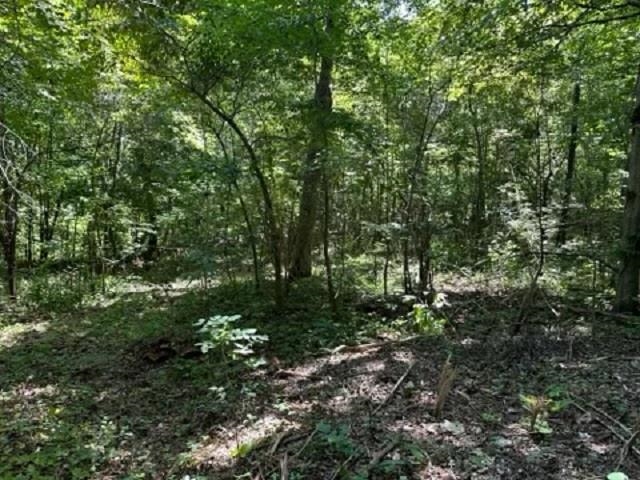 001-03393-017  Hwy 14 S  Harriet, AR