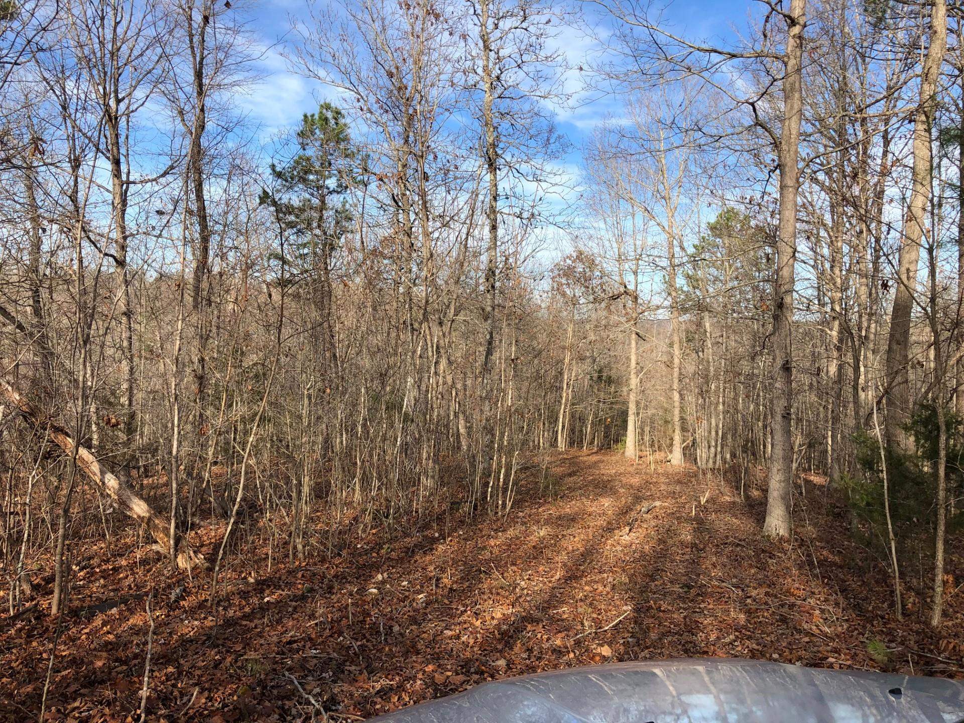 001-03393-017  Hwy 14 S  Harriet, AR