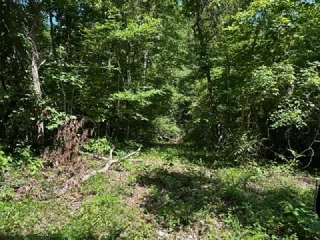 001-03393-017  Hwy 14 S  Harriet, AR