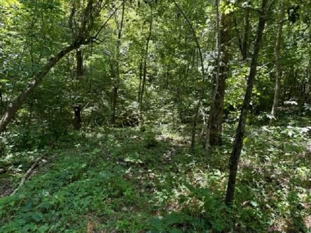 001-03393-017  Hwy 14 S  Harriet, AR