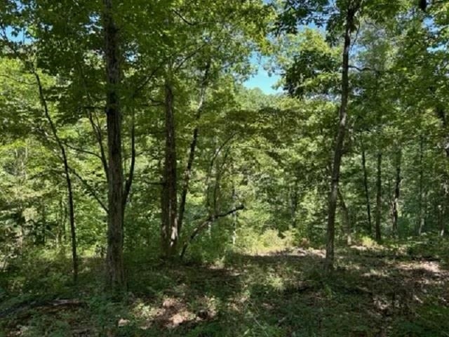 001-03393-017  Hwy 14 S  Harriet, AR