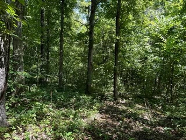 001-03393-017  Hwy 14 S  Harriet, AR