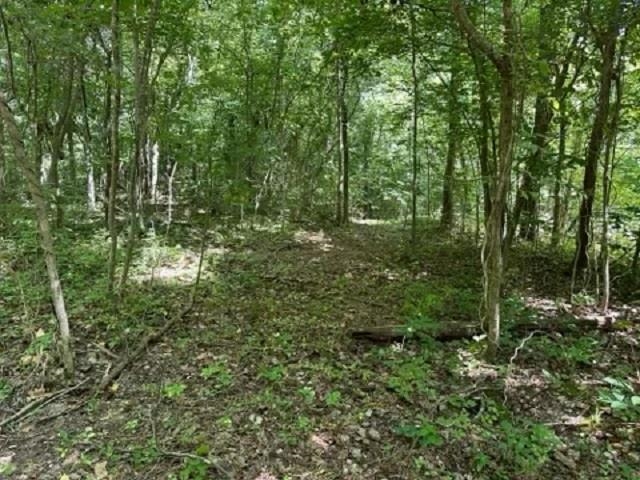 001-03393-017  Hwy 14 S  Harriet, AR