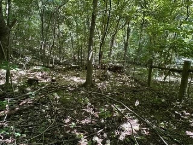 001-03393-017  Hwy 14 S  Harriet, AR