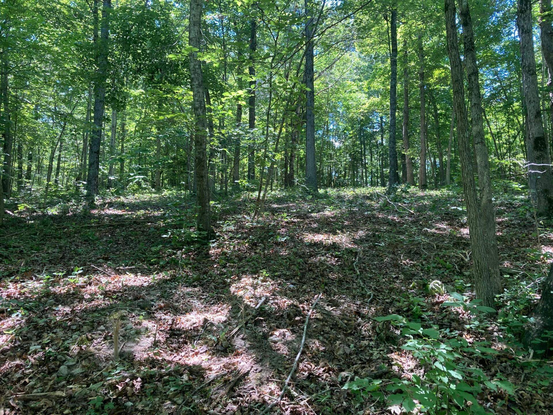 001-03393-017  Hwy 14 S  Harriet, AR