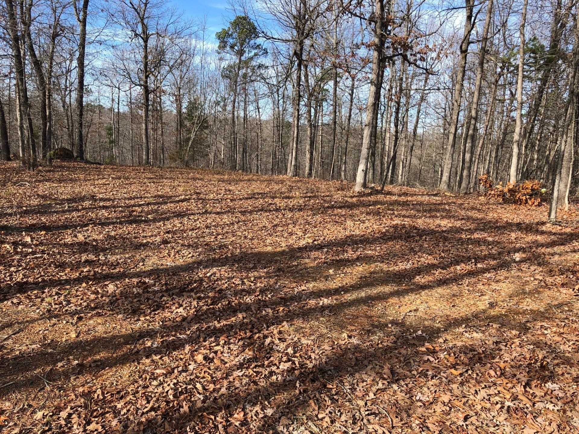 001-03393-017  Hwy 14 S  Harriet, AR