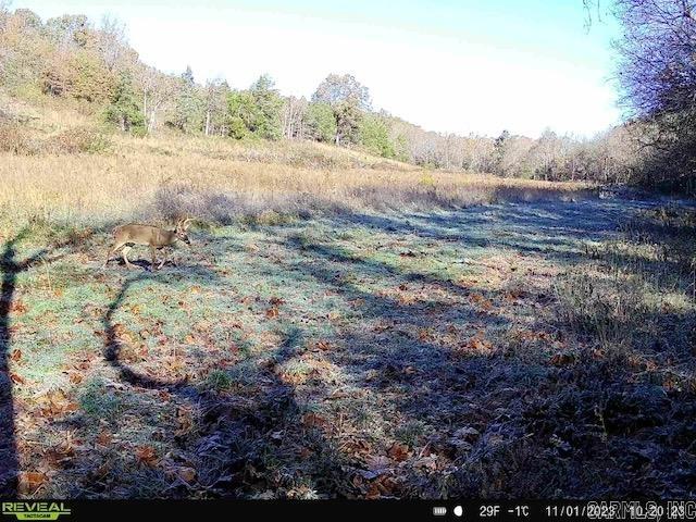 1717  Grassy  Marshall, AR