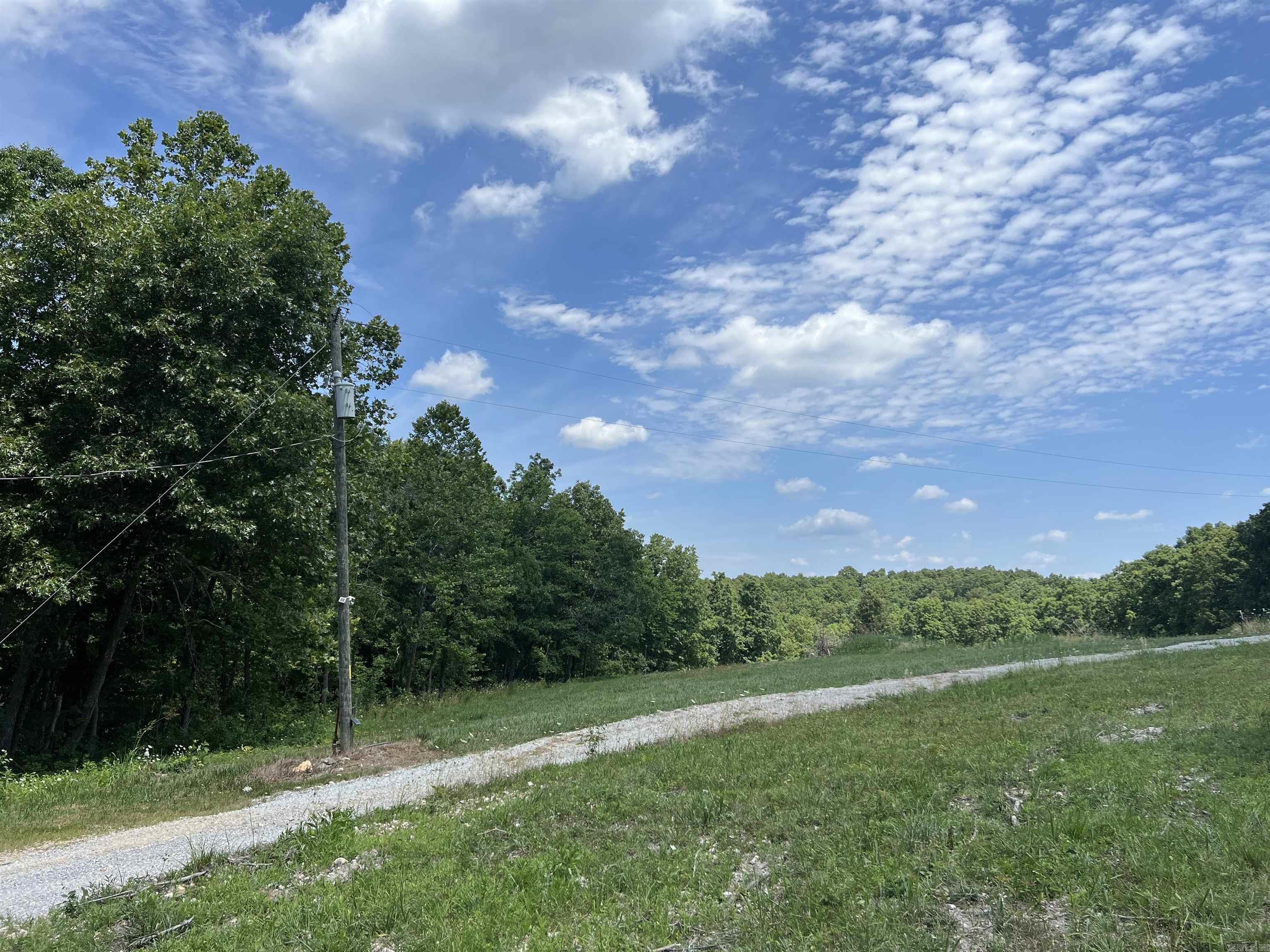1717  Grassy  Marshall, AR