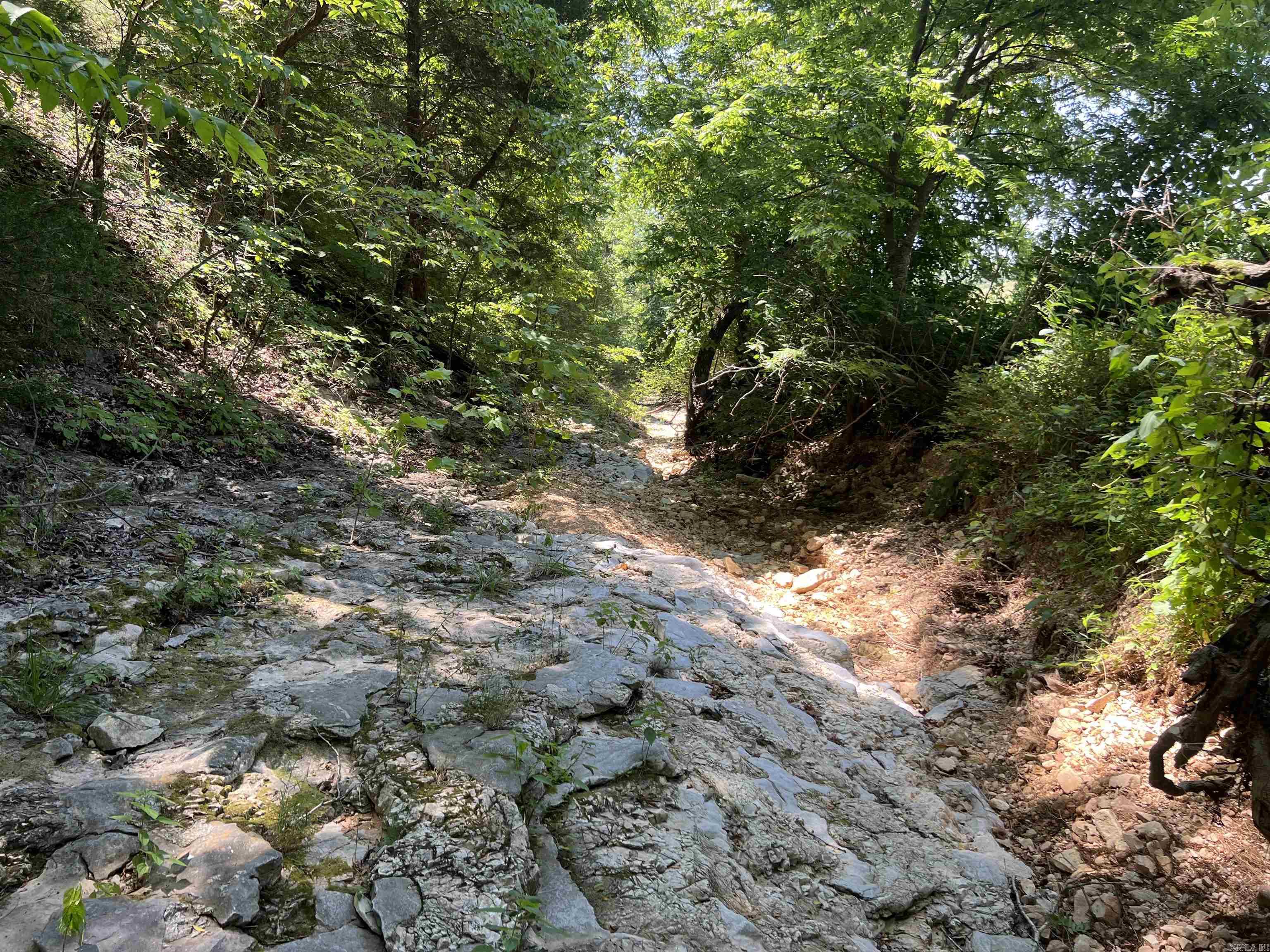 1717  Grassy  Marshall, AR