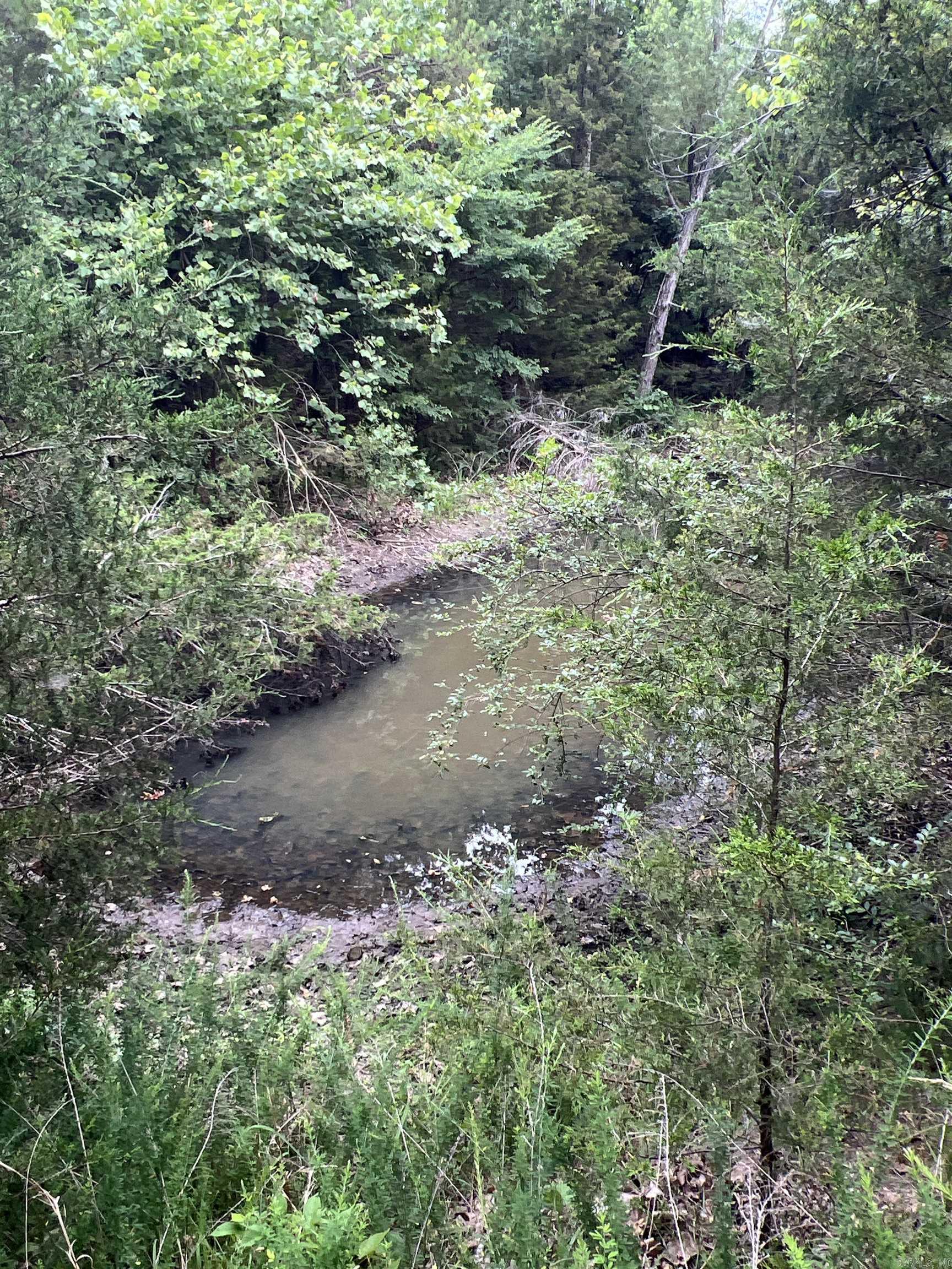 1717  Grassy  Marshall, AR