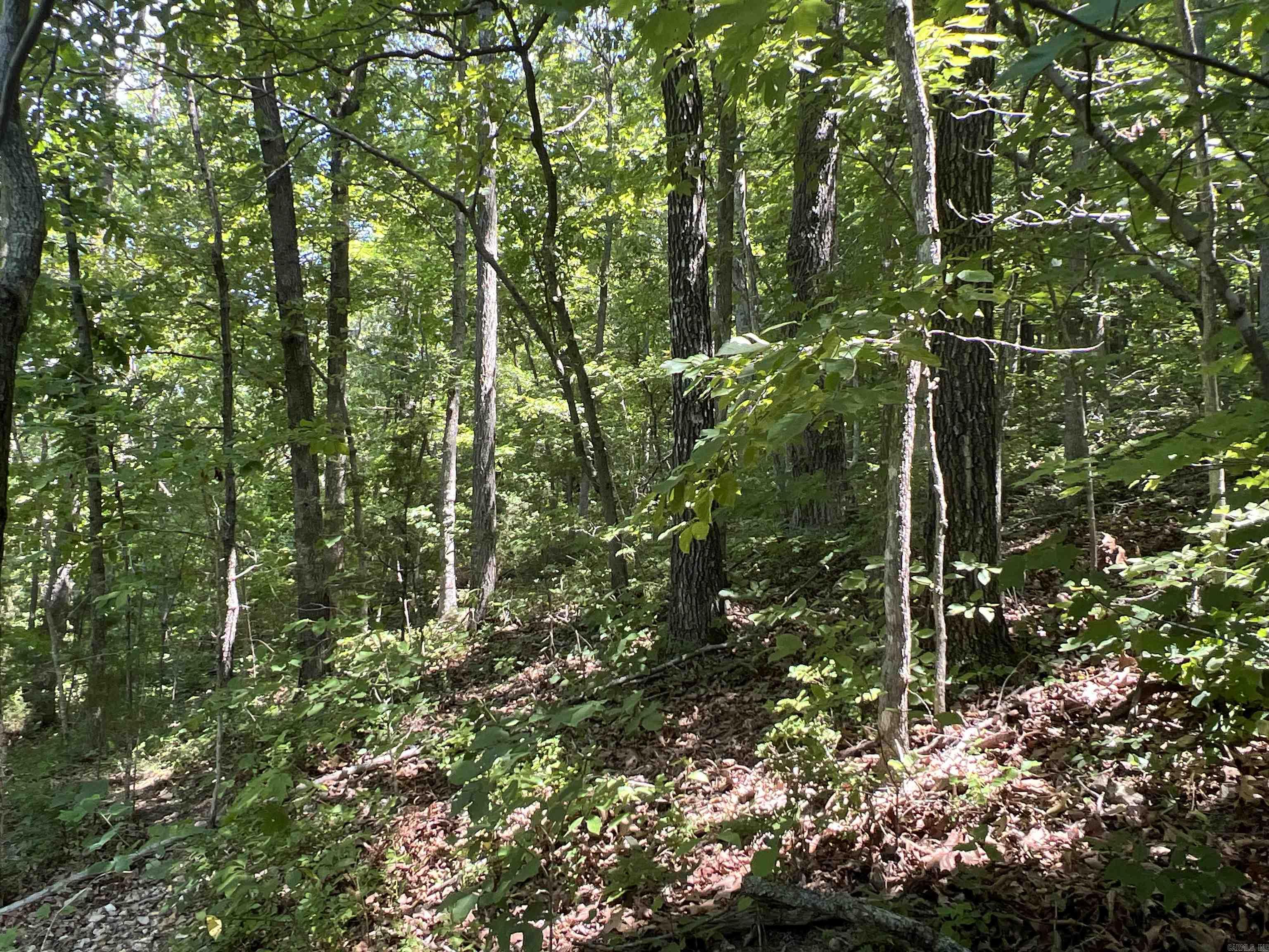 1717  Grassy  Marshall, AR