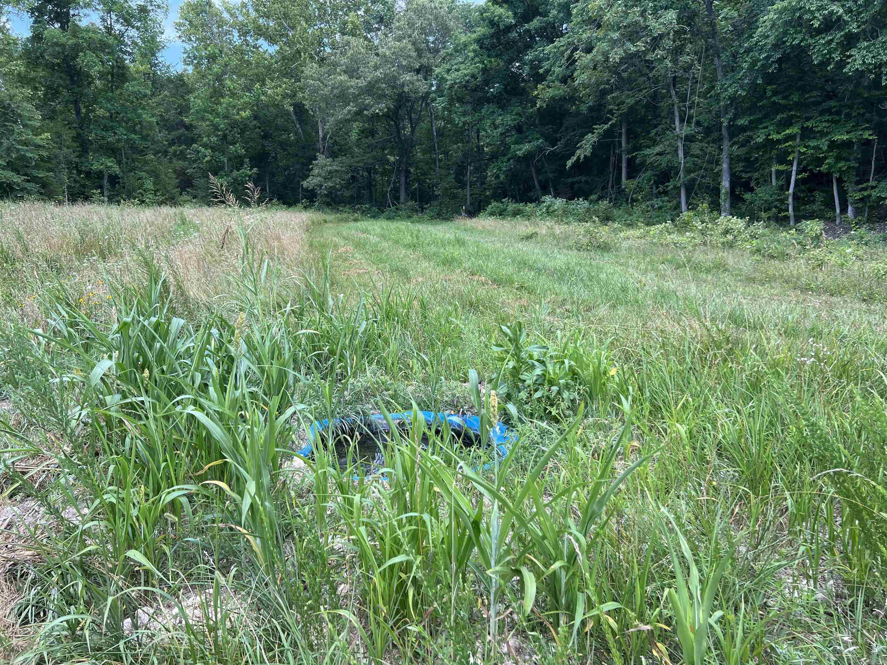 1717  Grassy  Marshall, AR