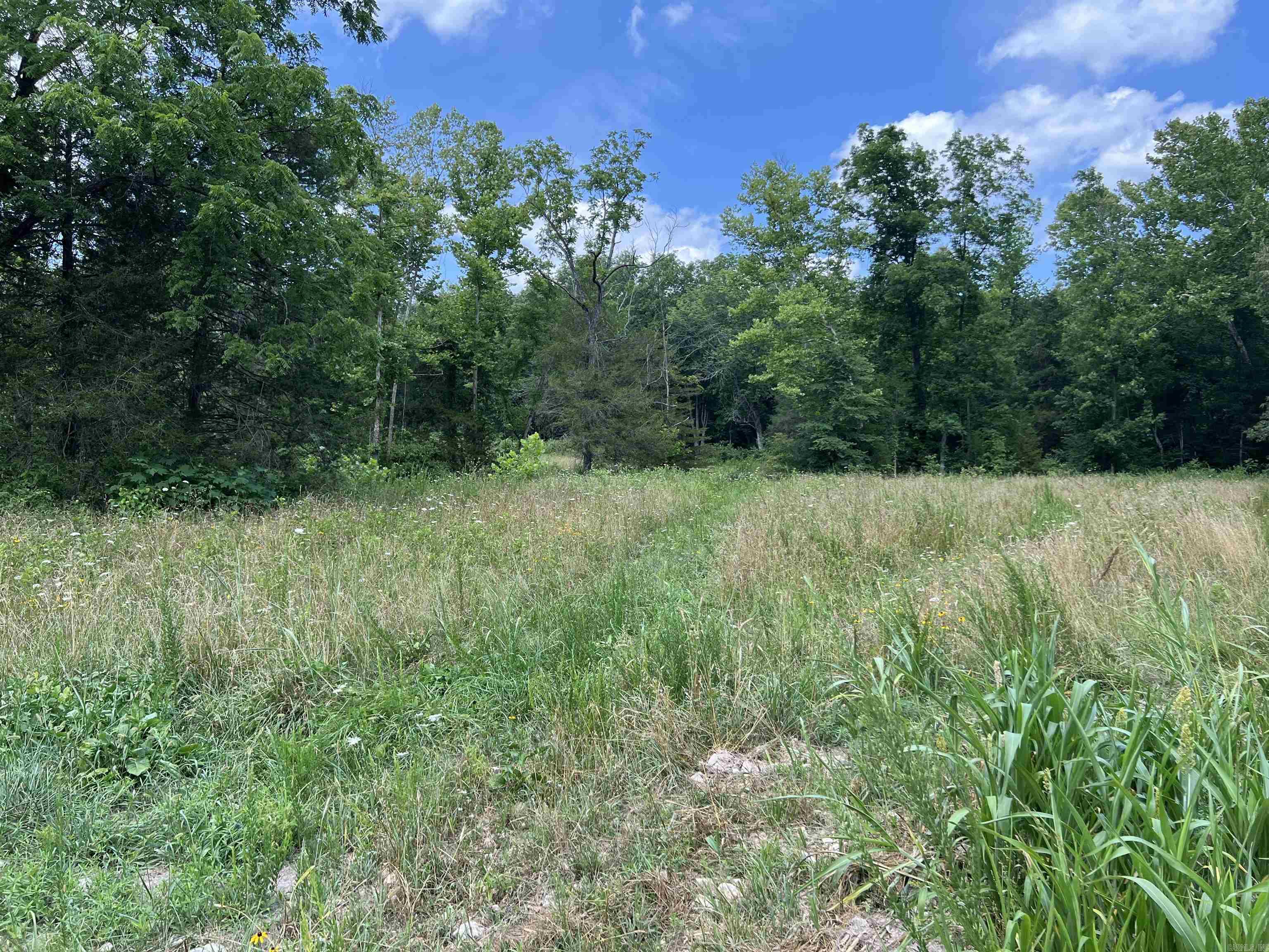 1717  Grassy  Marshall, AR