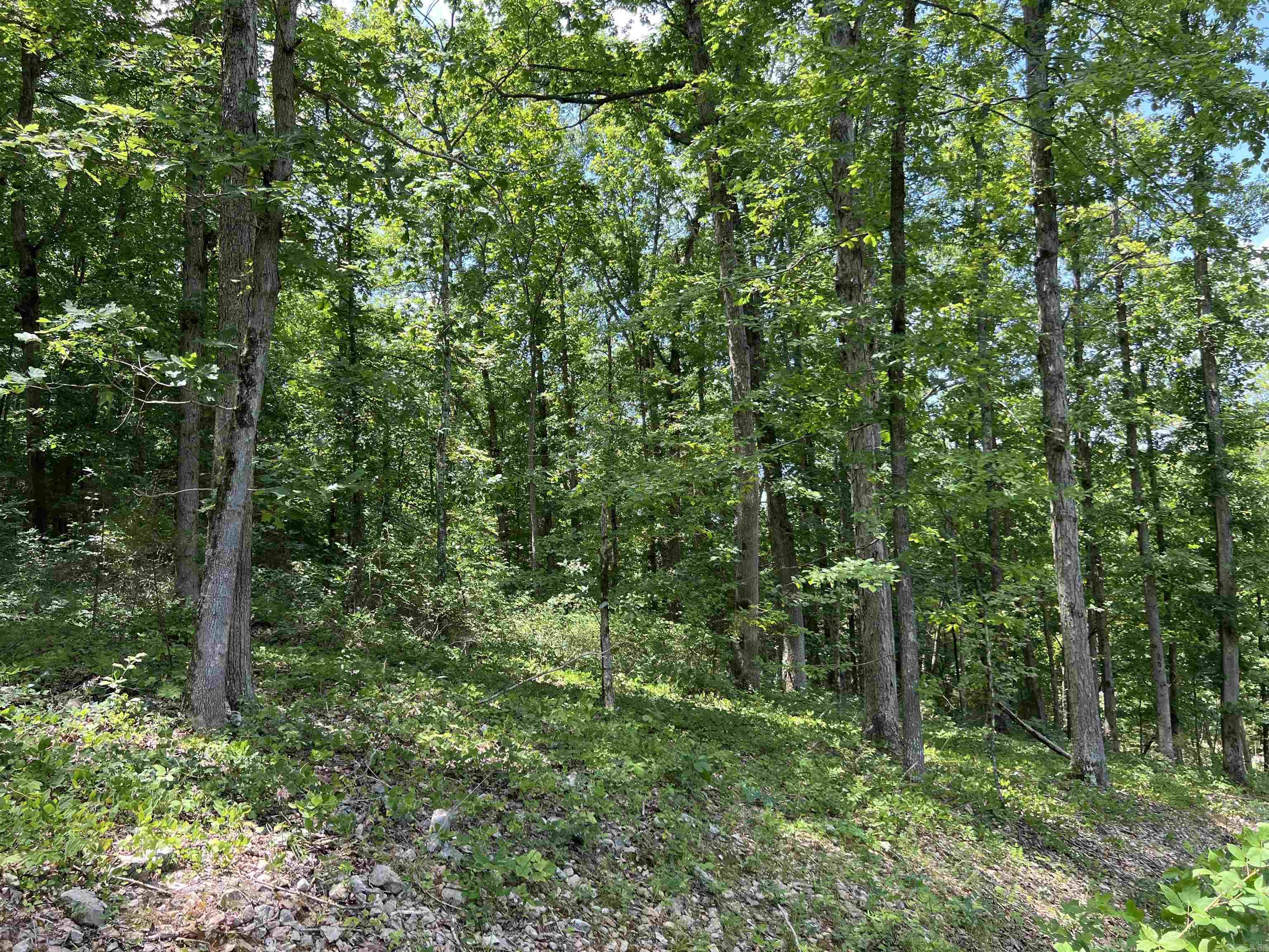 1717  Grassy  Marshall, AR