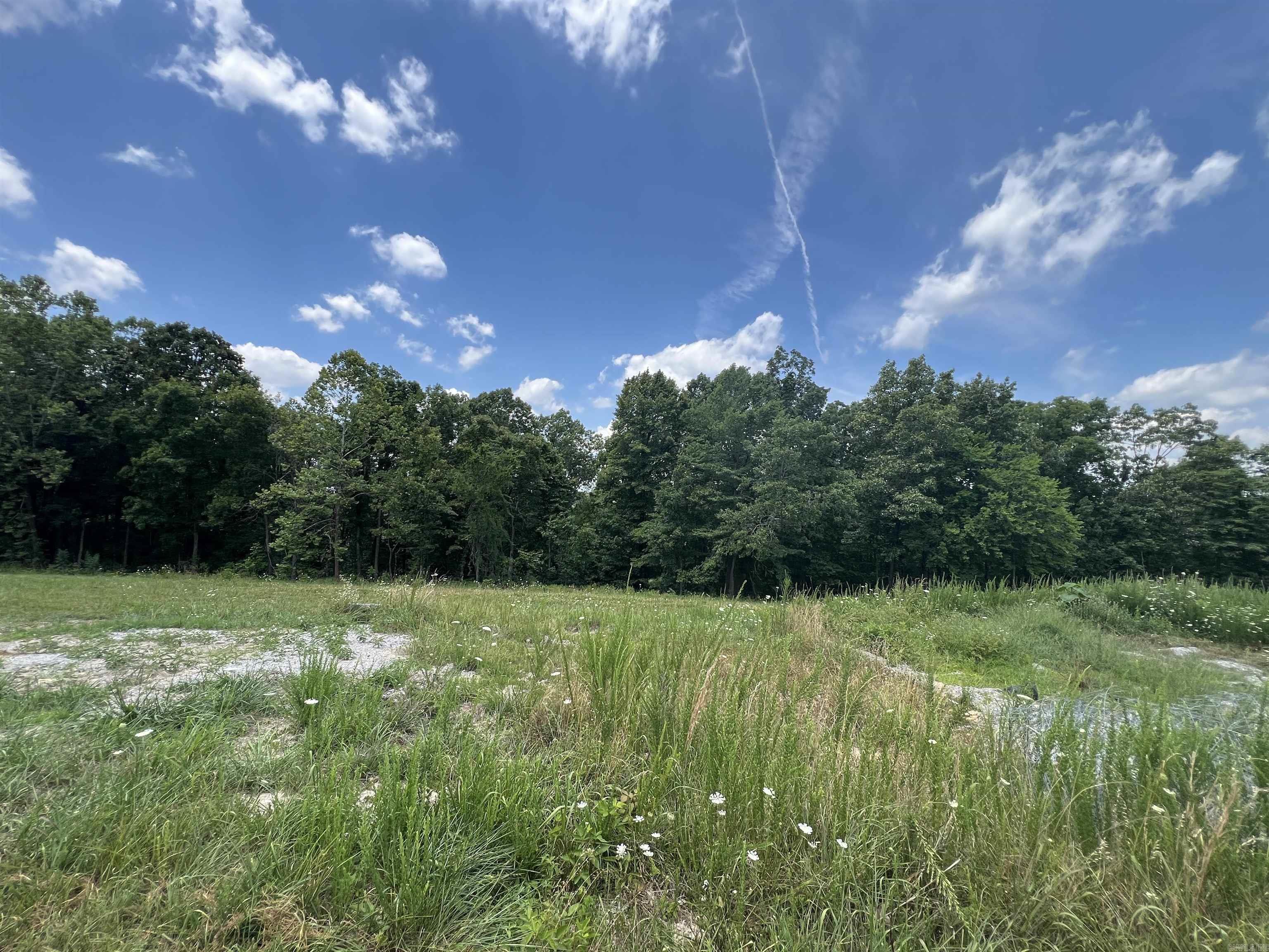 1717  Grassy  Marshall, AR