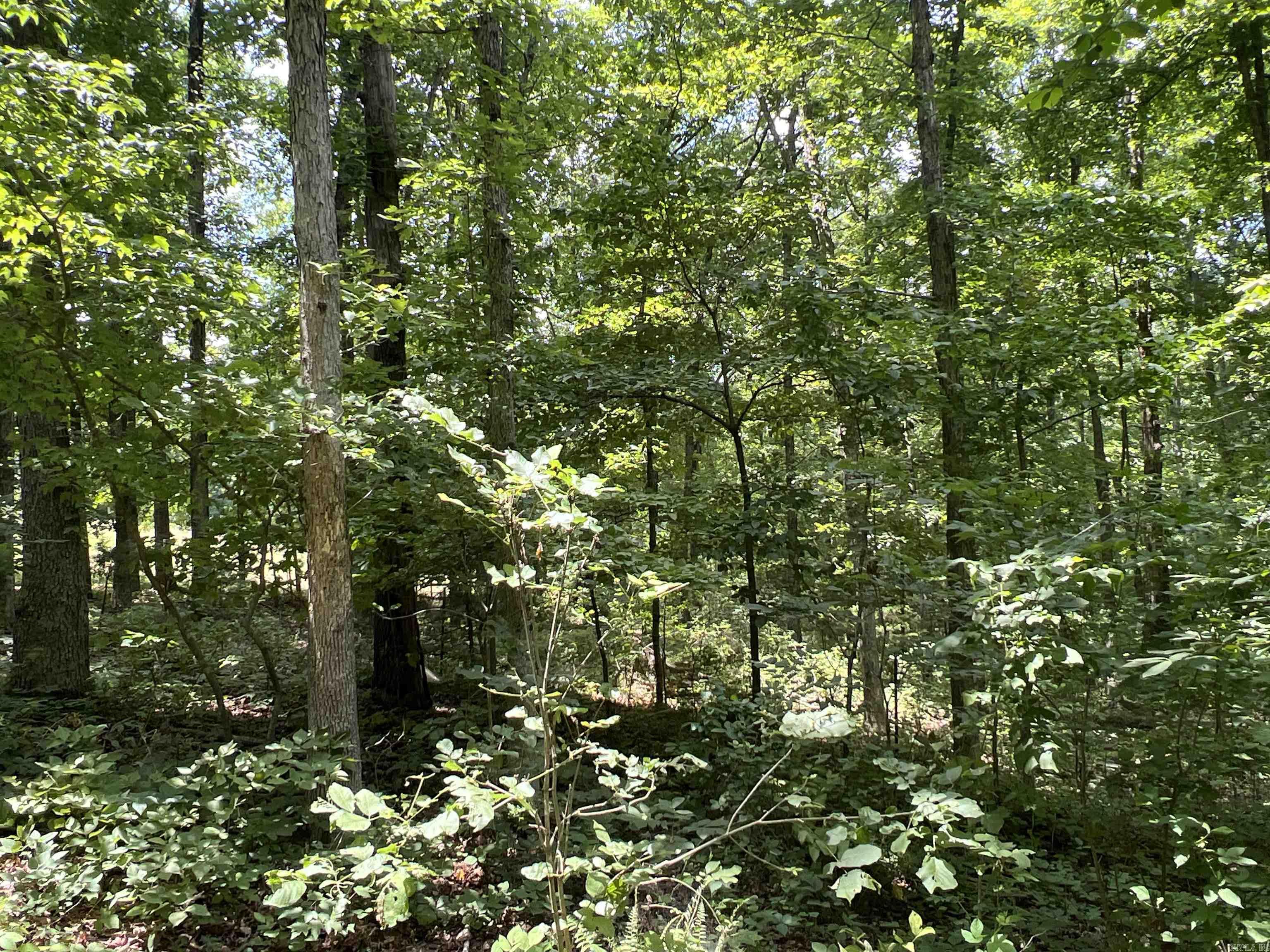 1717  Grassy  Marshall, AR