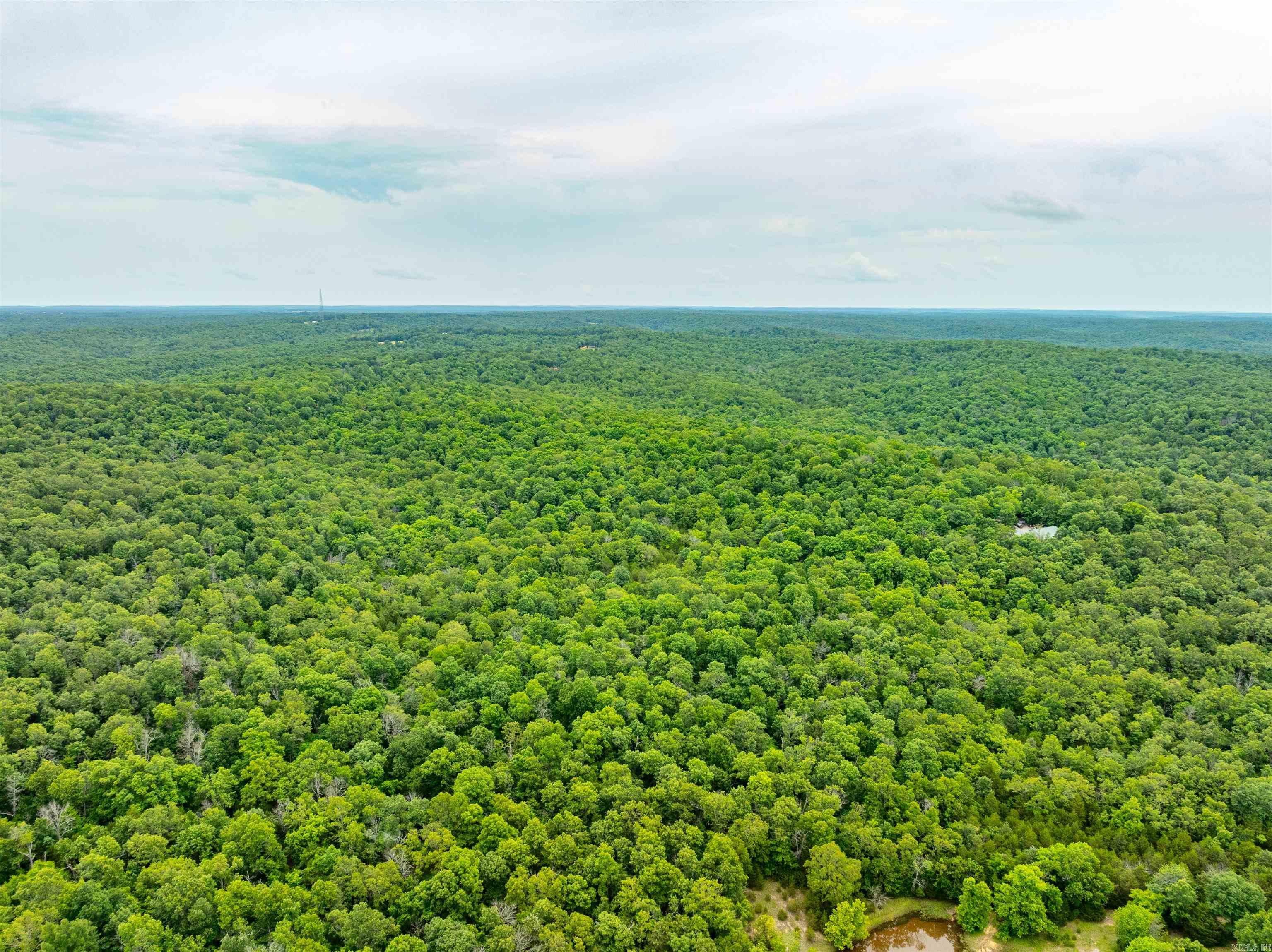   Firetower Rd  Hardy, AR