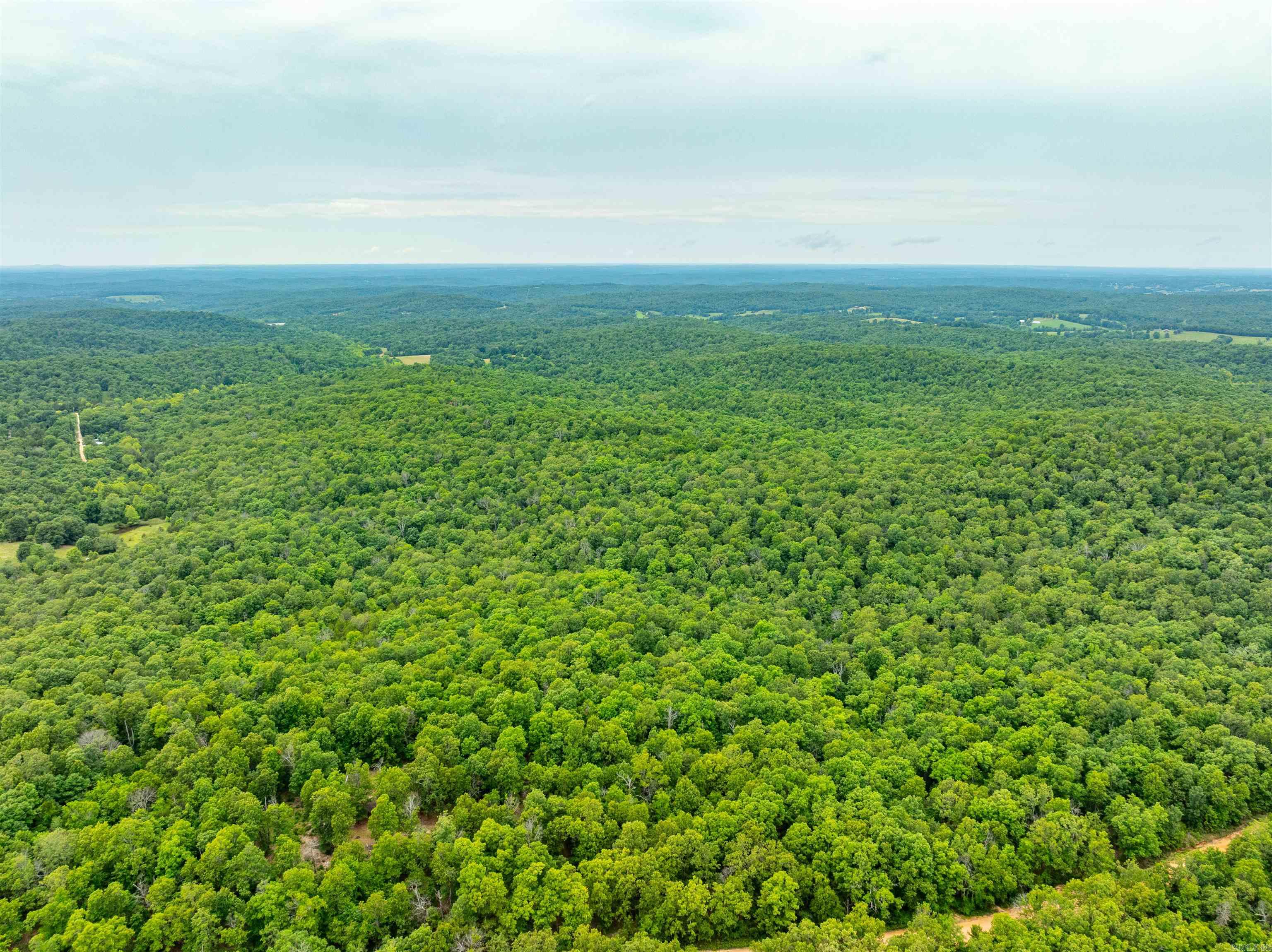   Firetower Rd  Hardy, AR