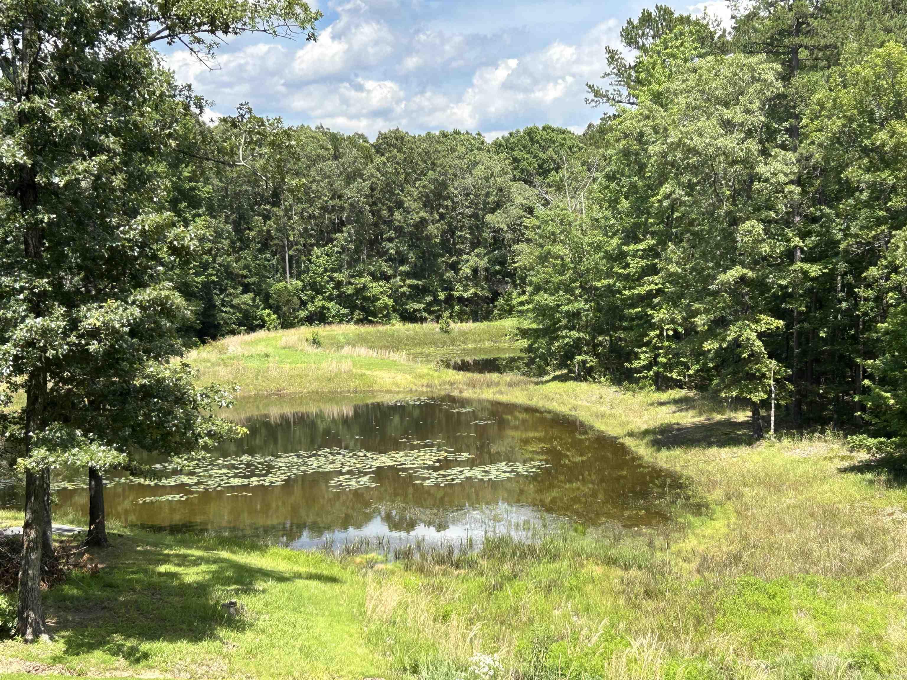 89 Split Oak Road Tumbling Shoals, AR 72581