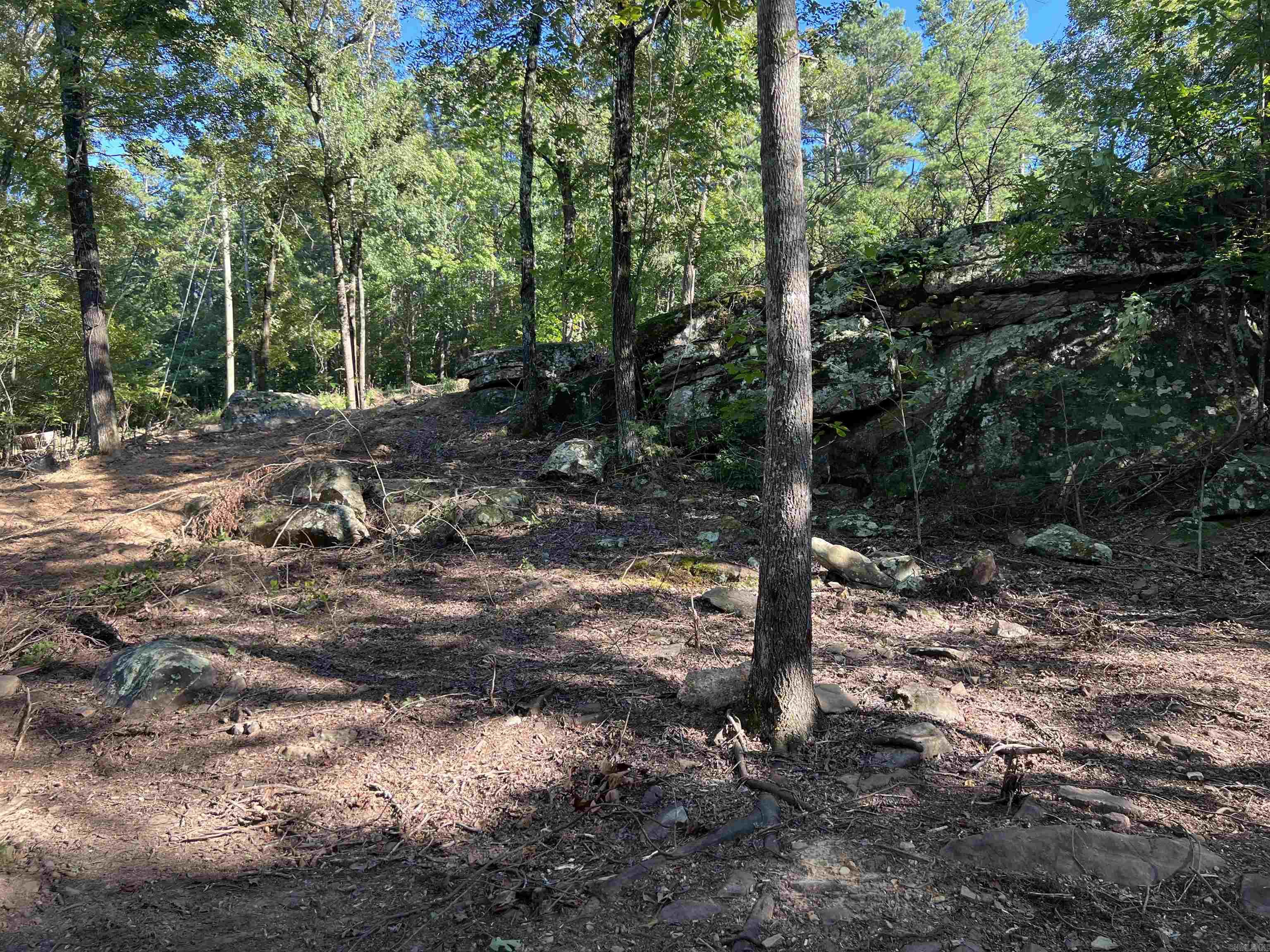 00 Valhalla Drive Edgemont, AR 72044
