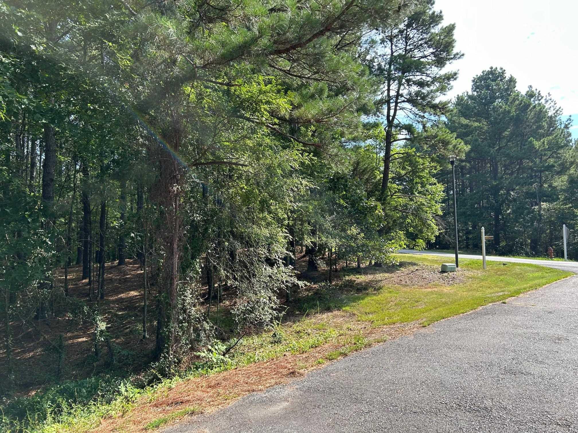 32  Pizarro  Hot Springs Village, AR