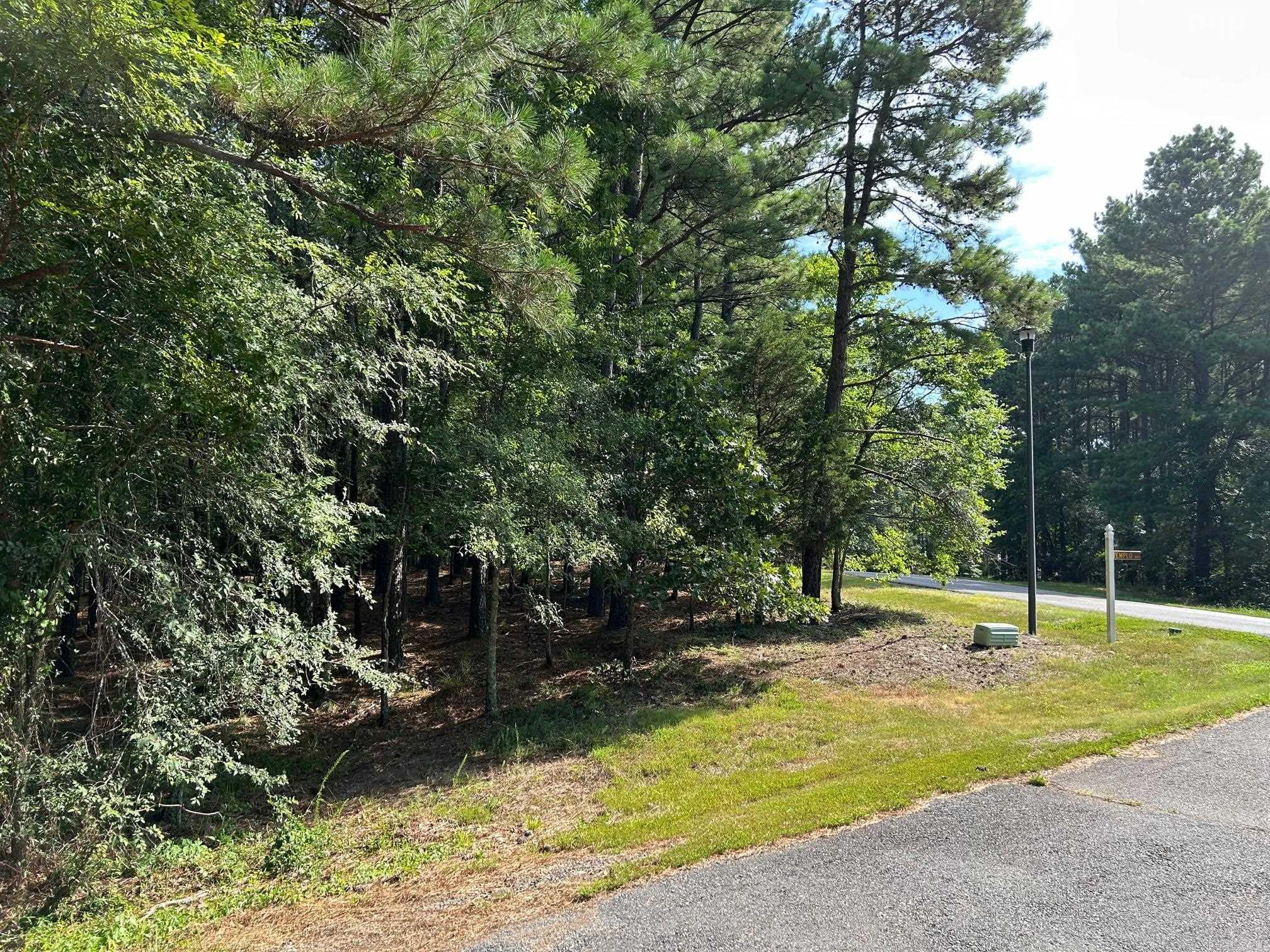 32  Pizarro  Hot Springs Village, AR