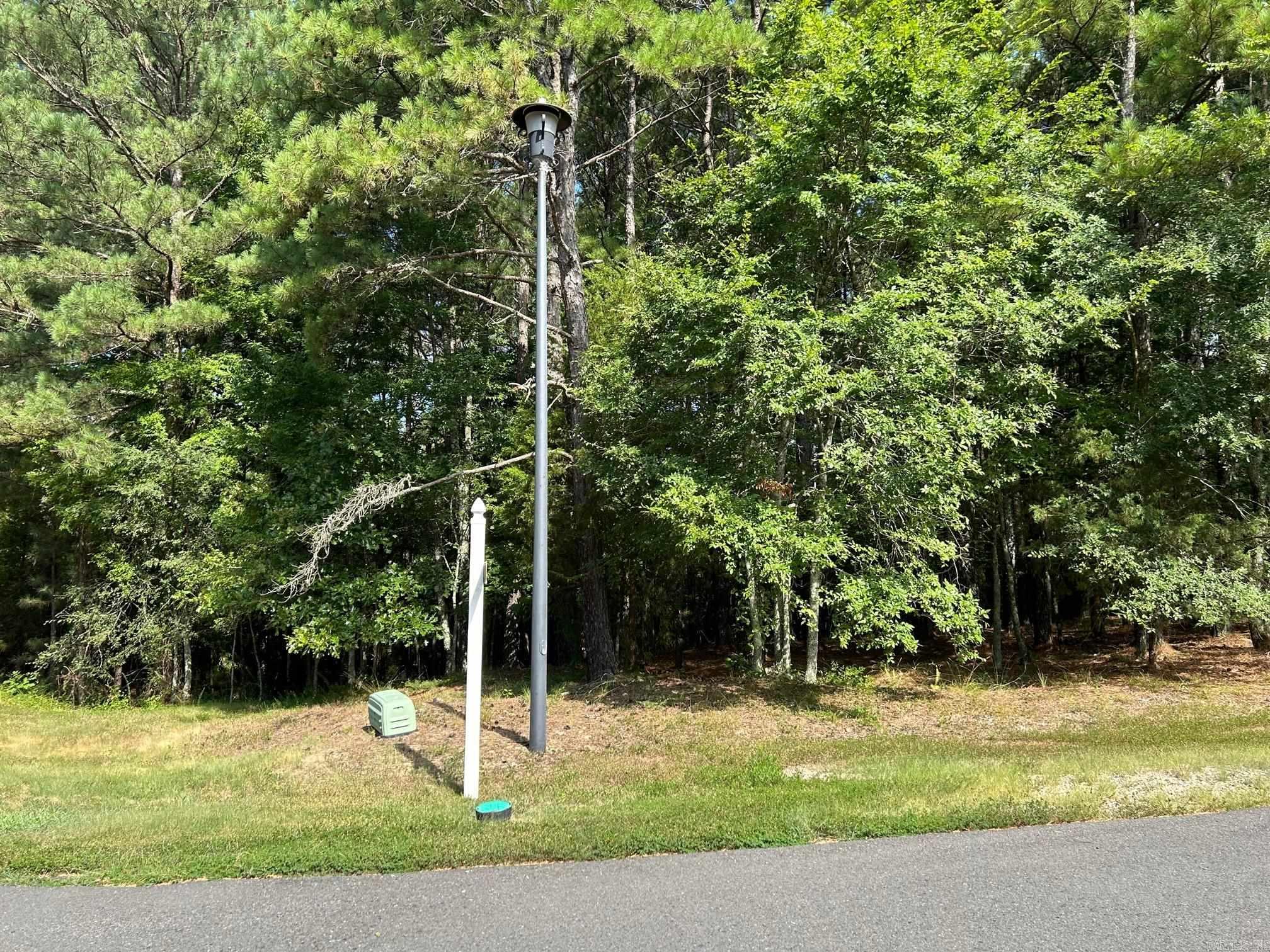 32  Pizarro  Hot Springs Village, AR