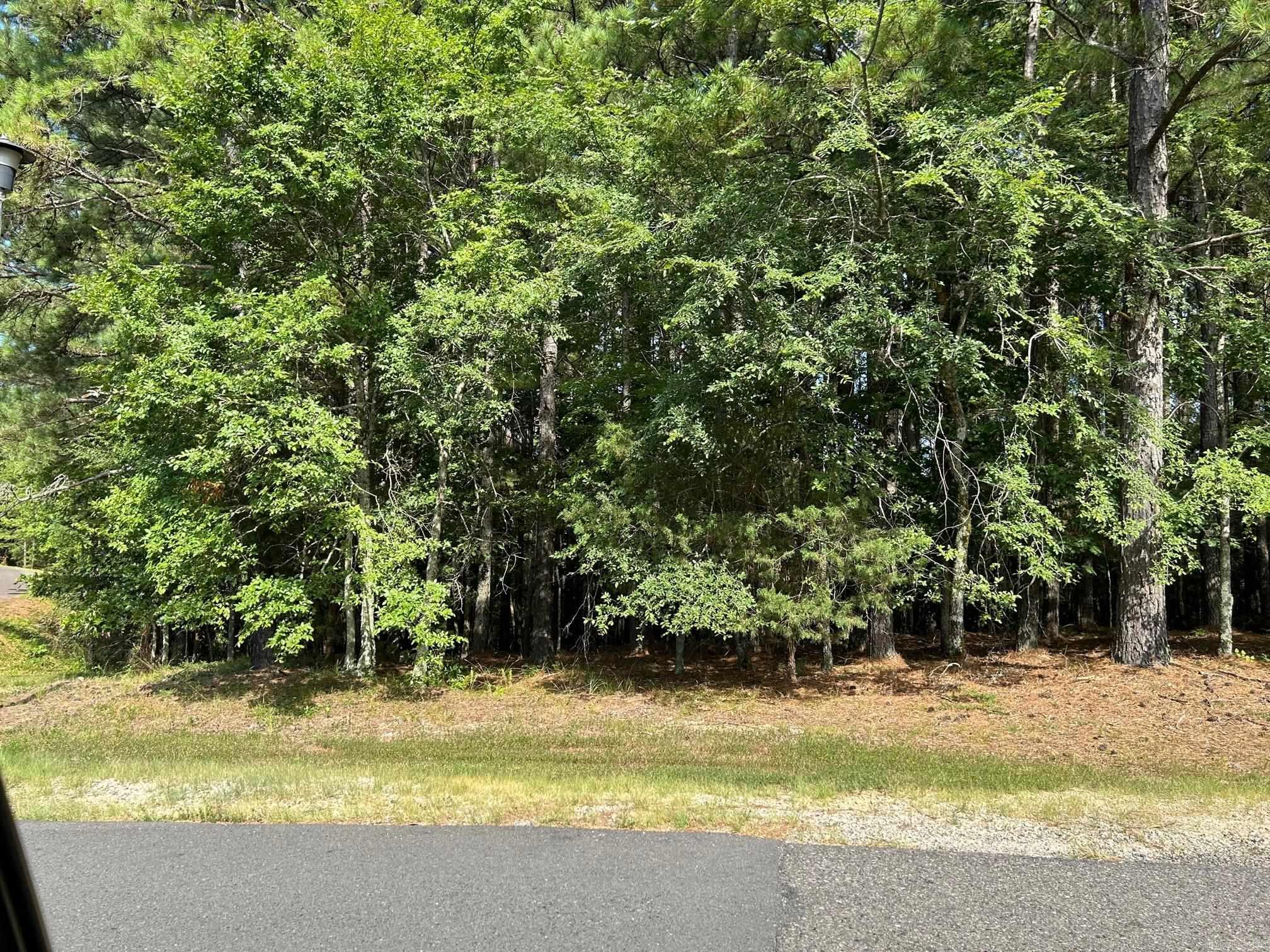 32  Pizarro  Hot Springs Village, AR
