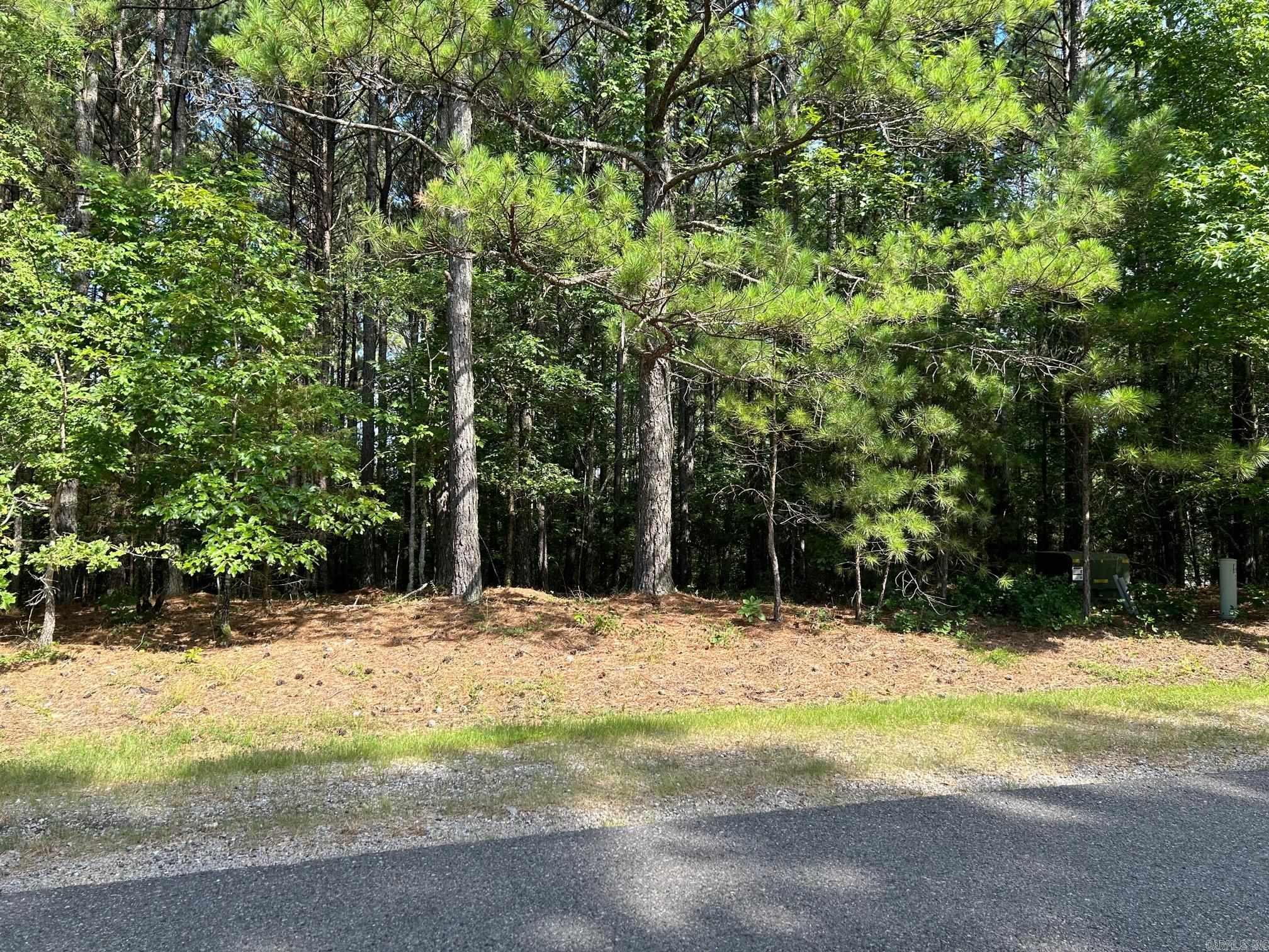 32  Pizarro  Hot Springs Village, AR