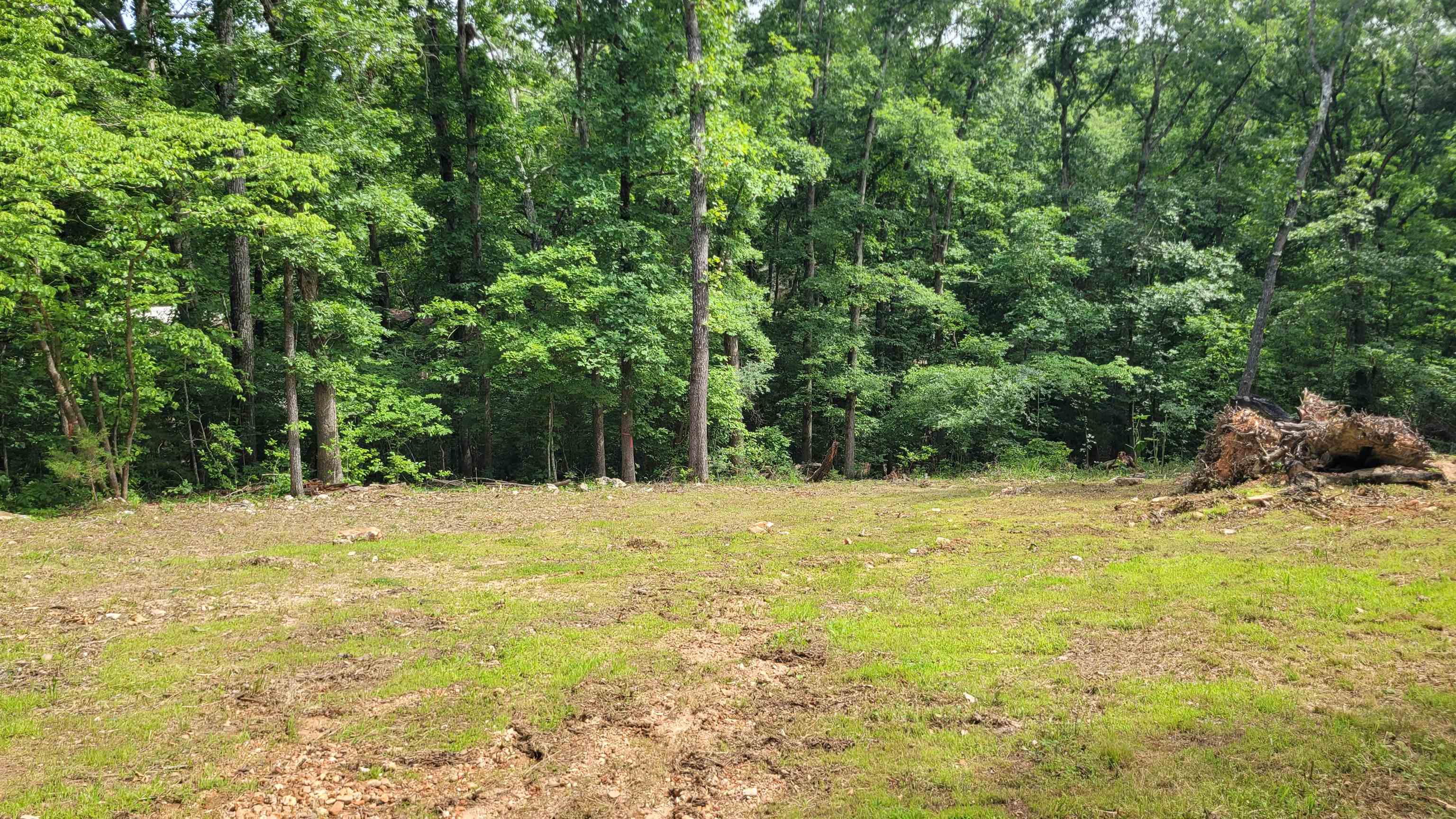 xxx  Woodland Hills Rd  Hardy, AR
