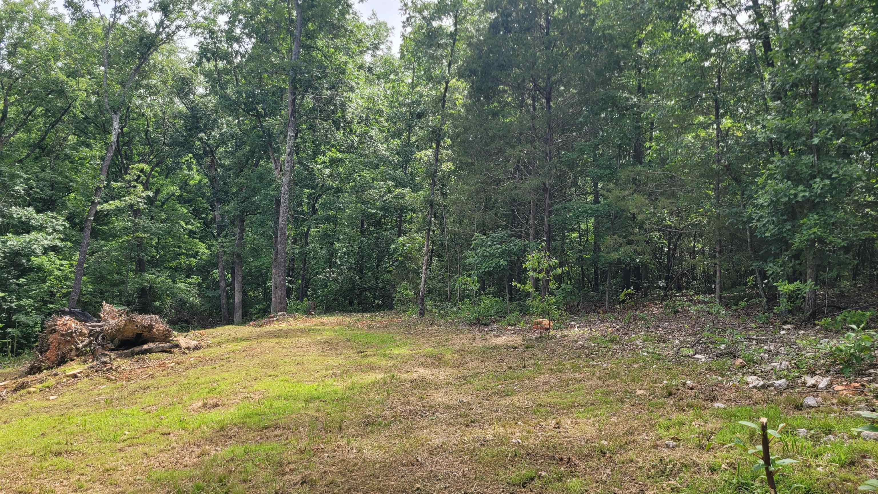 xxx  Woodland Hills Rd  Hardy, AR