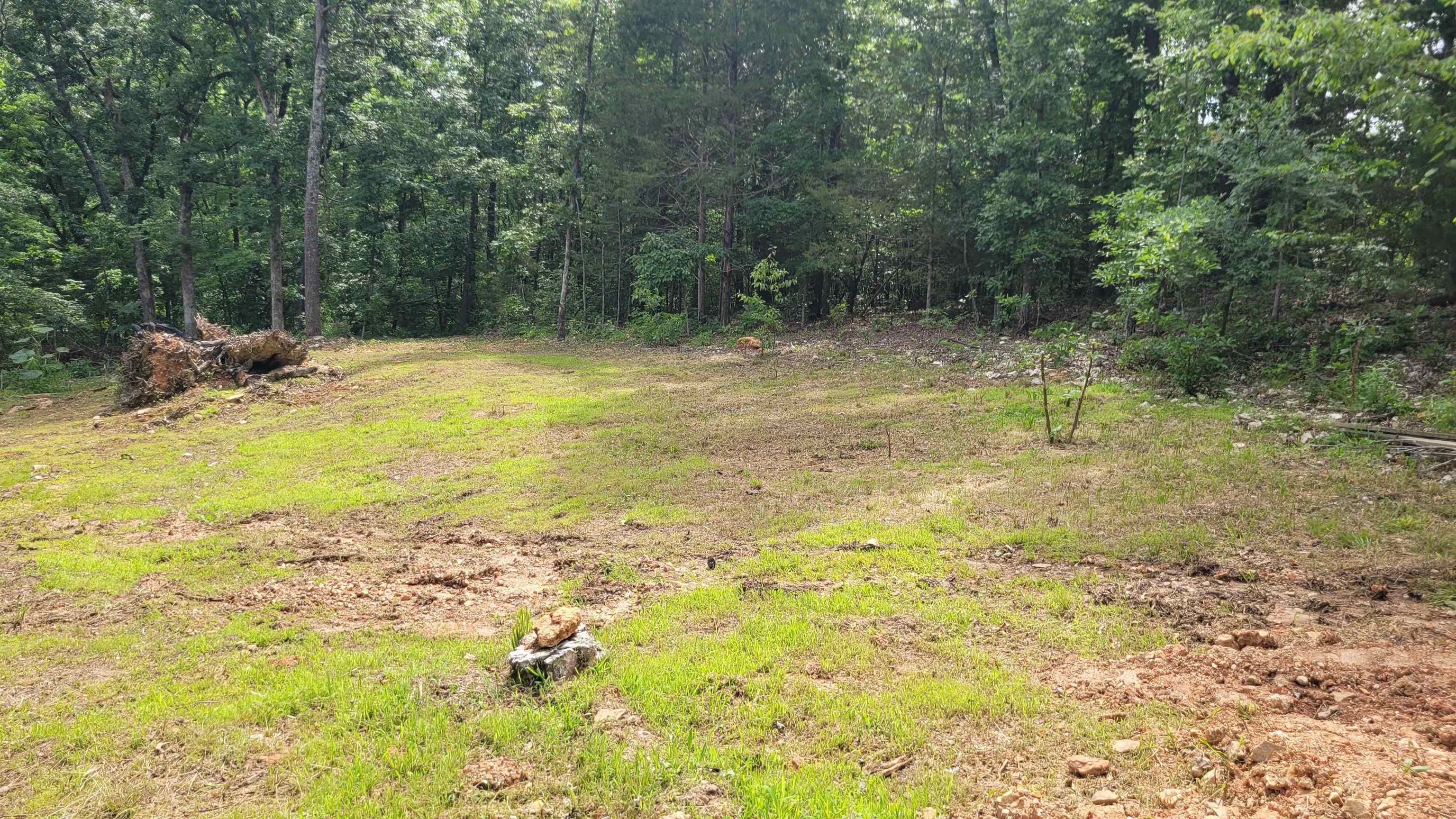 xxx  Woodland Hills Rd  Hardy, AR