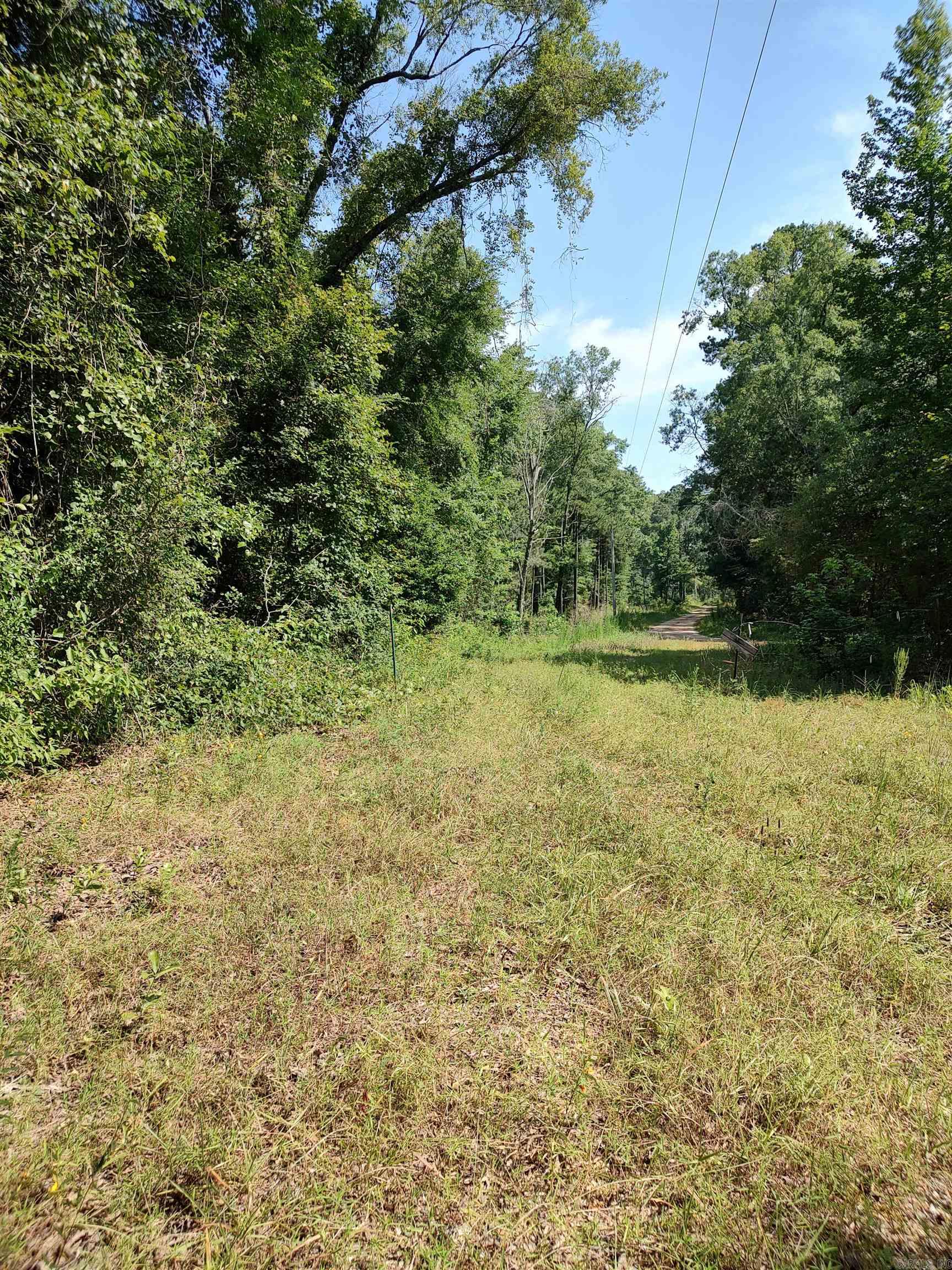 80 acres  Calhoun 199  Hampton, AR