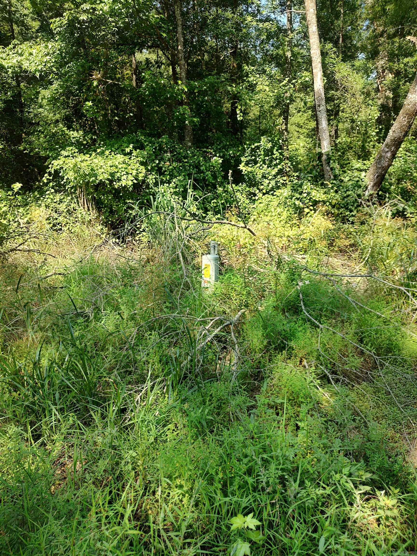 80 acres  Calhoun 199  Hampton, AR