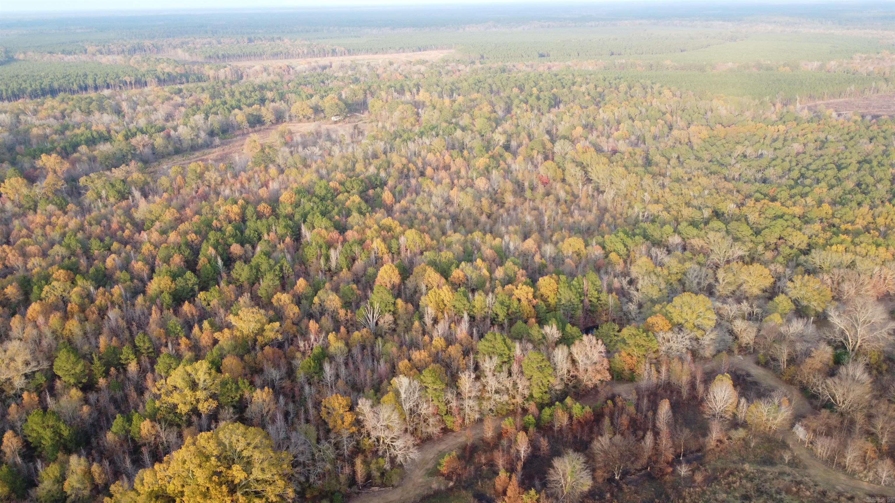80 acres  Calhoun 199  Hampton, AR